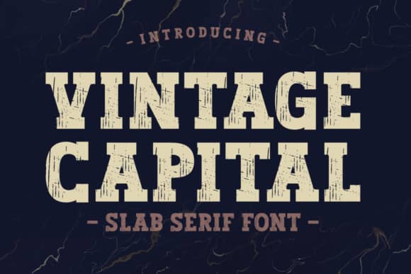 Vintage Capital 字体