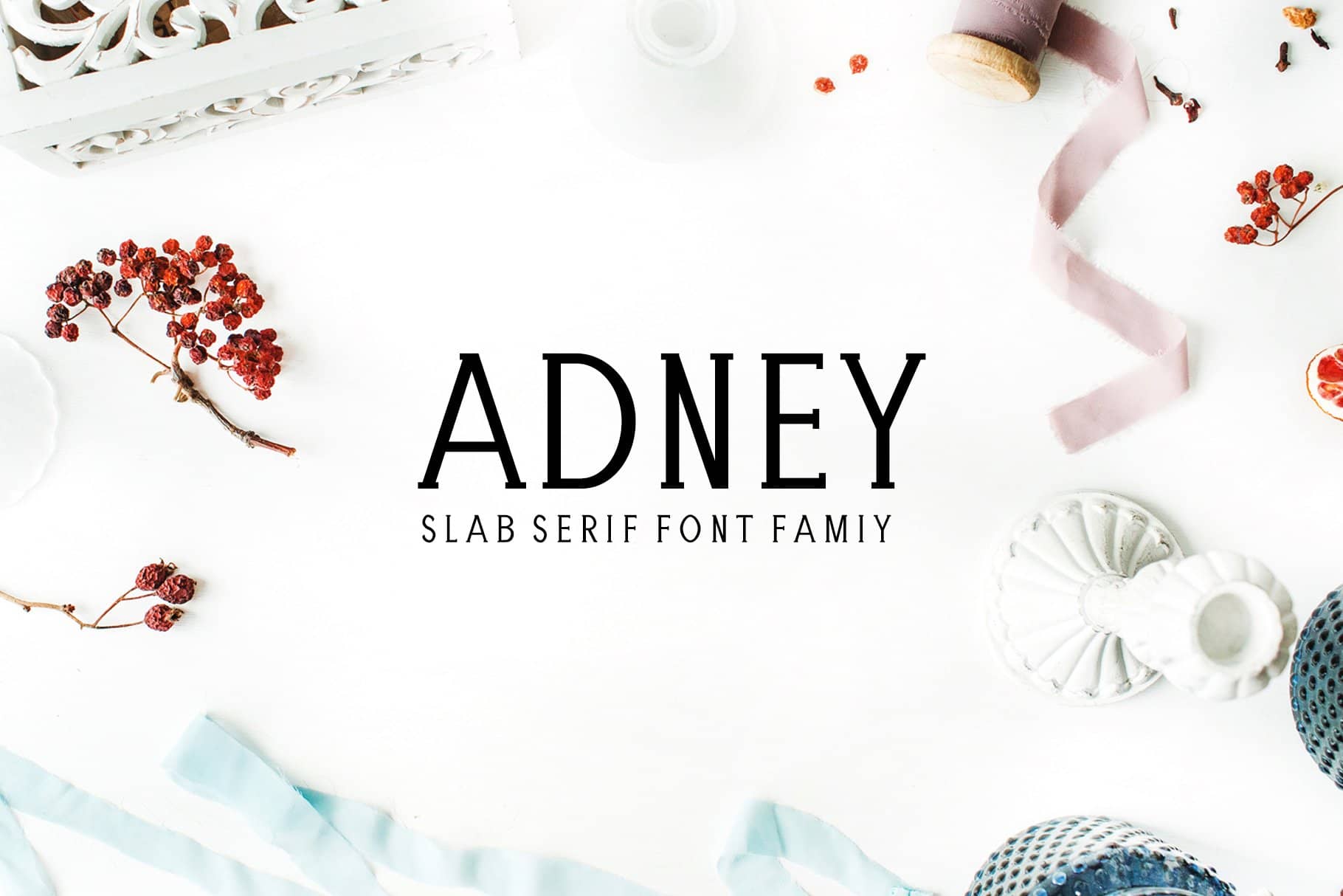 Adney Slab Serif 3 字体 Family