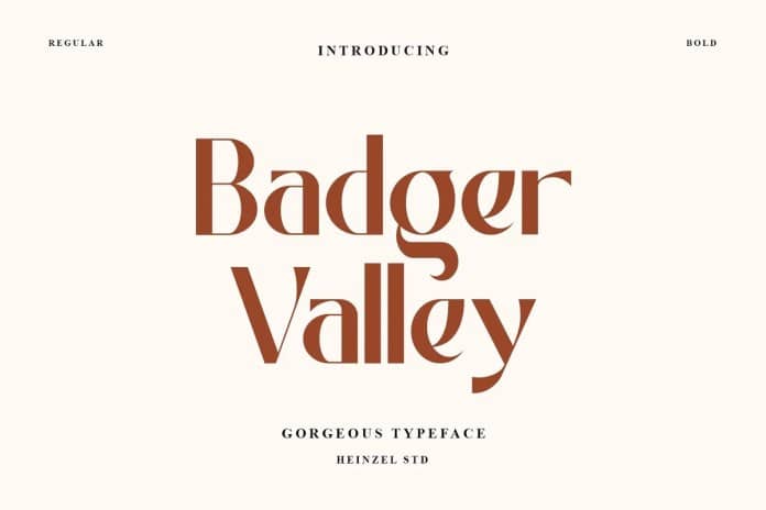 Badger Valley Sans Serif 字体