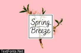 Bakerie Rough 字体 Family 1915924