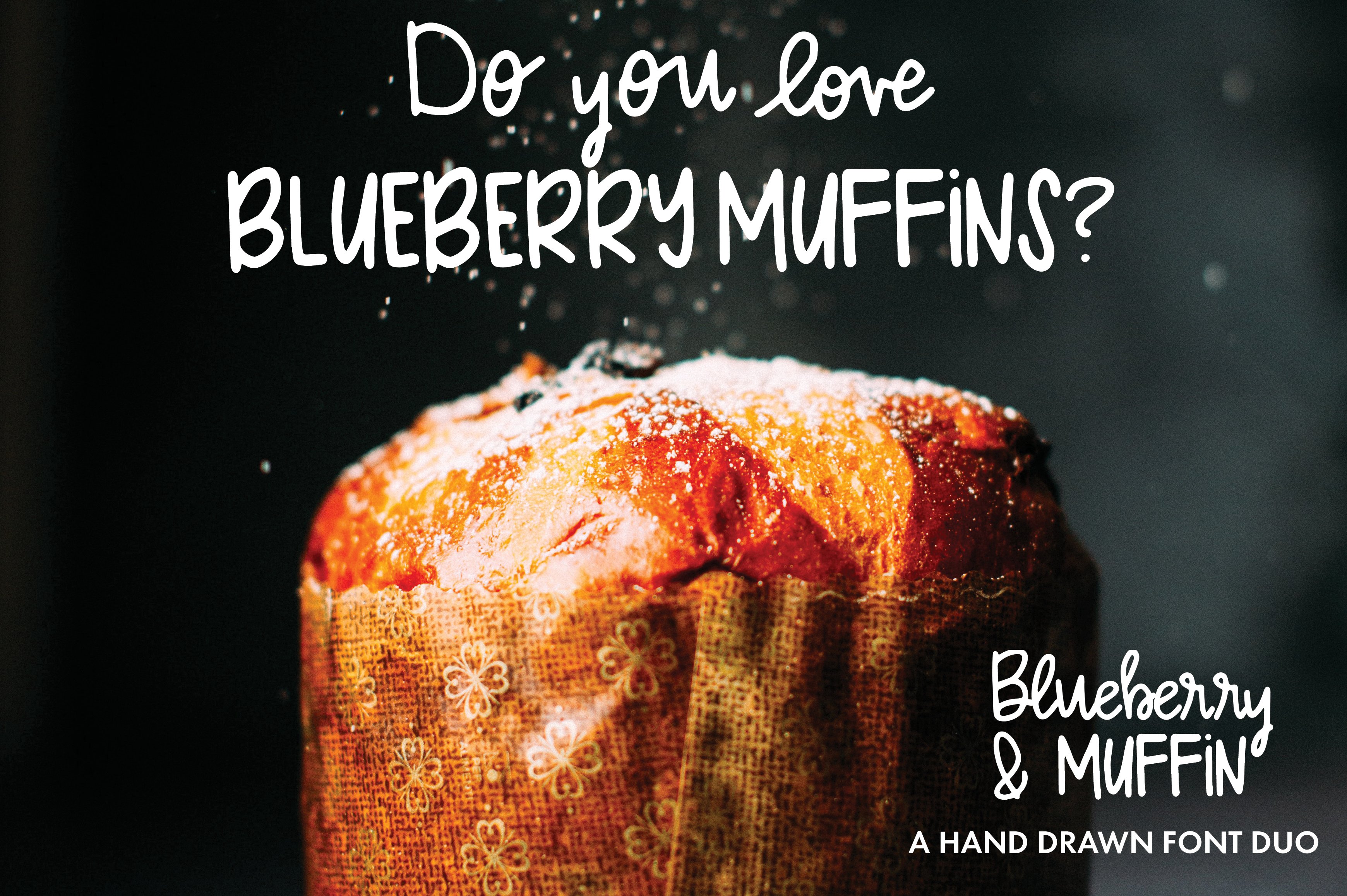 Blueberry Muffin hand drawn 字体 duo 1620290