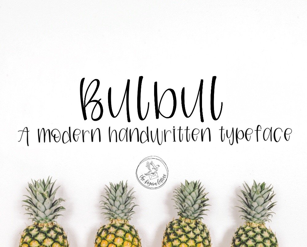 Bulbul  A Modern Handwritten 字体 1508605