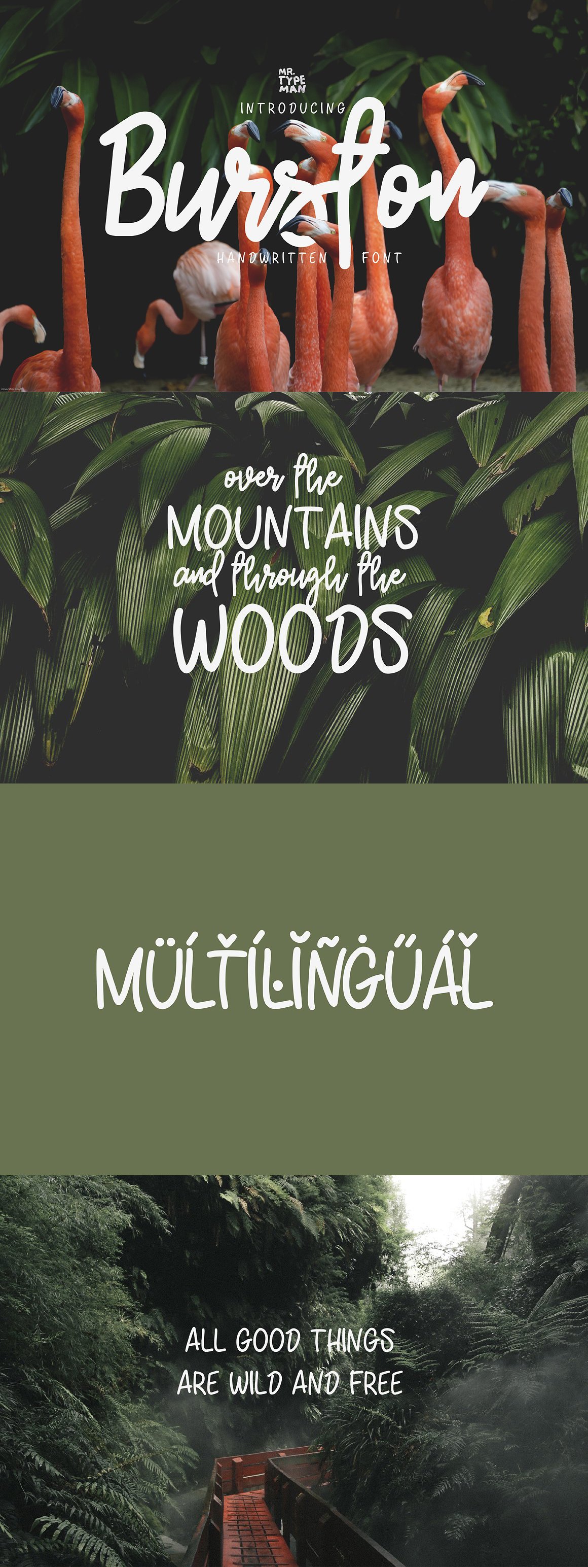 Burston Handwritten Script 1590768