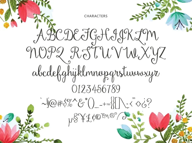 Dandelion Soup Script 字体