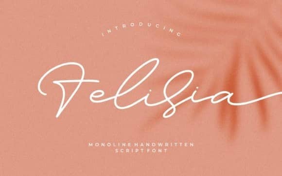 Felisia Script 字体