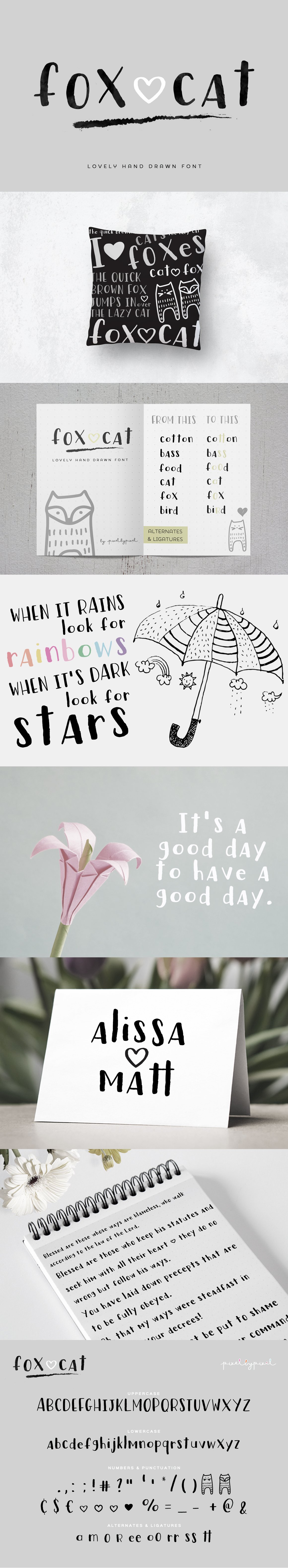 Fox Cat Hand Drawn 字体 1587735