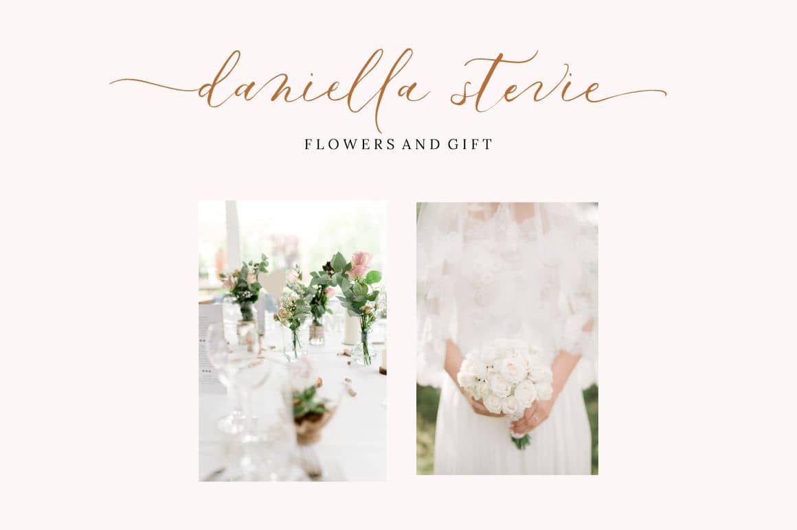 Le Vangeline Script 字体