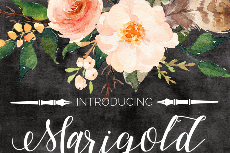 Marigold 字体