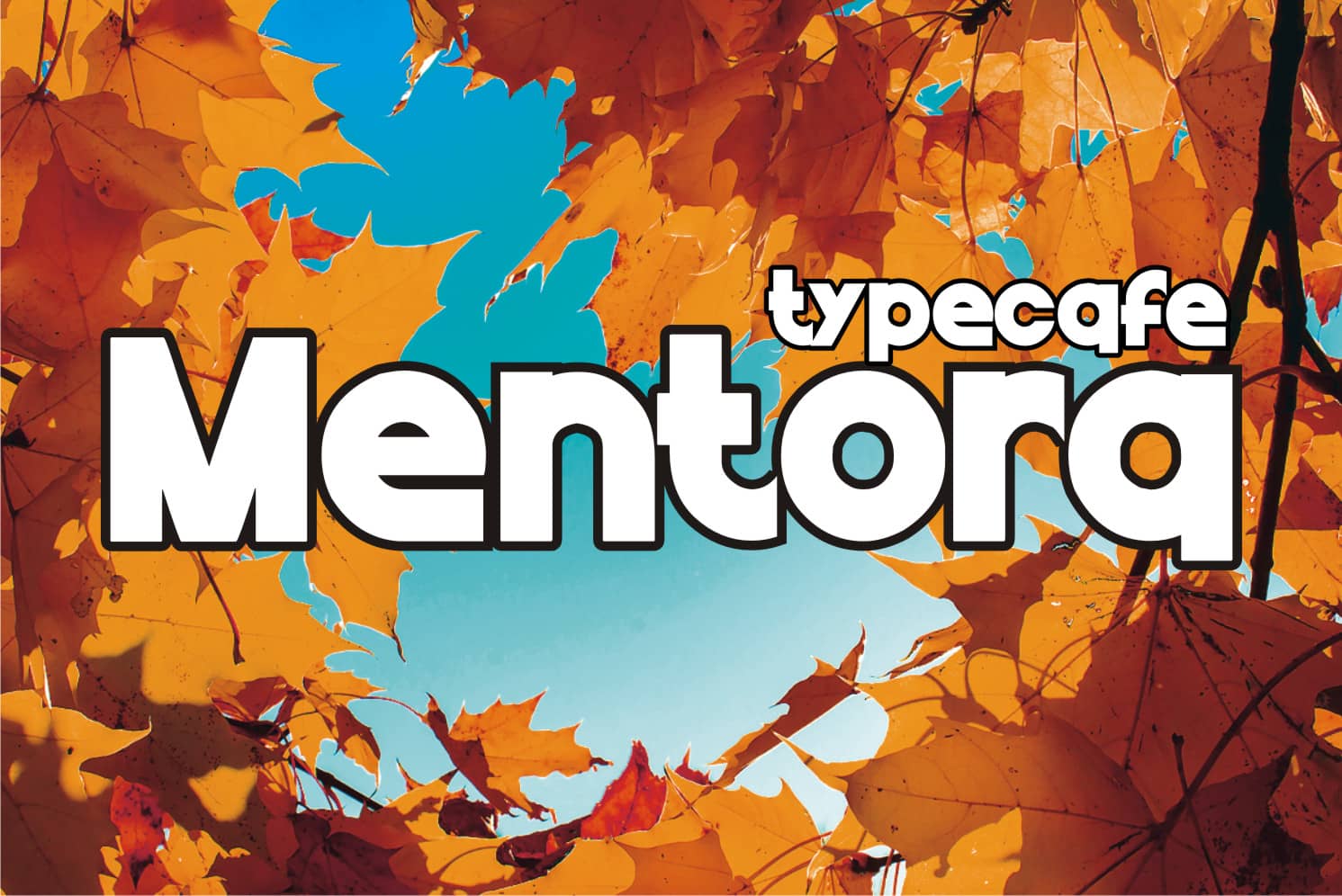 Mentora Display 字体