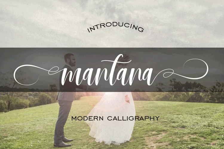 Mix 字体 Bundle 23