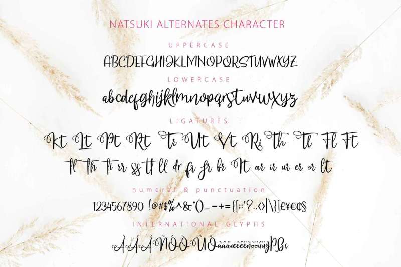 Natsuki Script 字体
