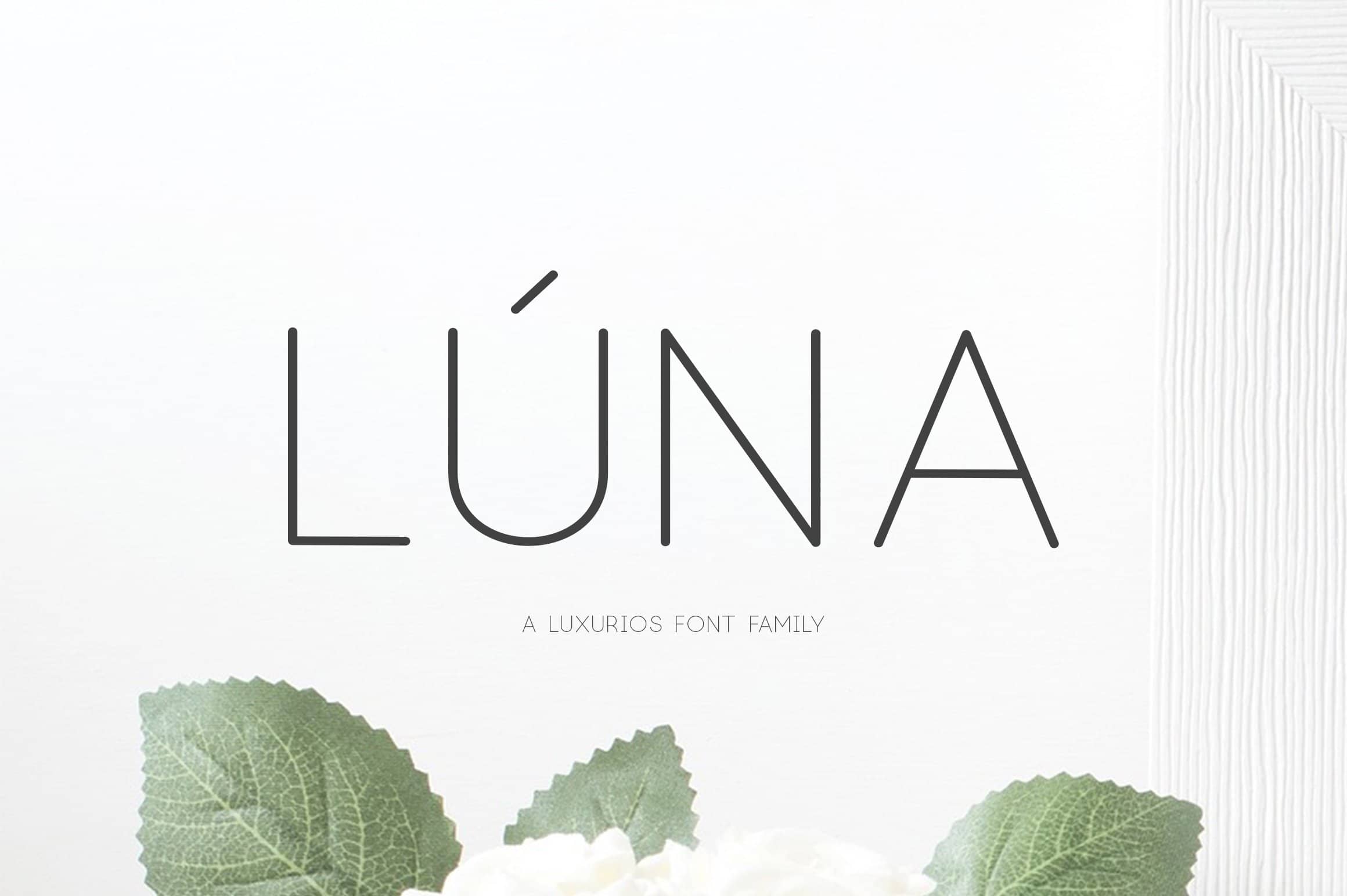 NEW Luna – A Luxurios 字体 Family 2163335