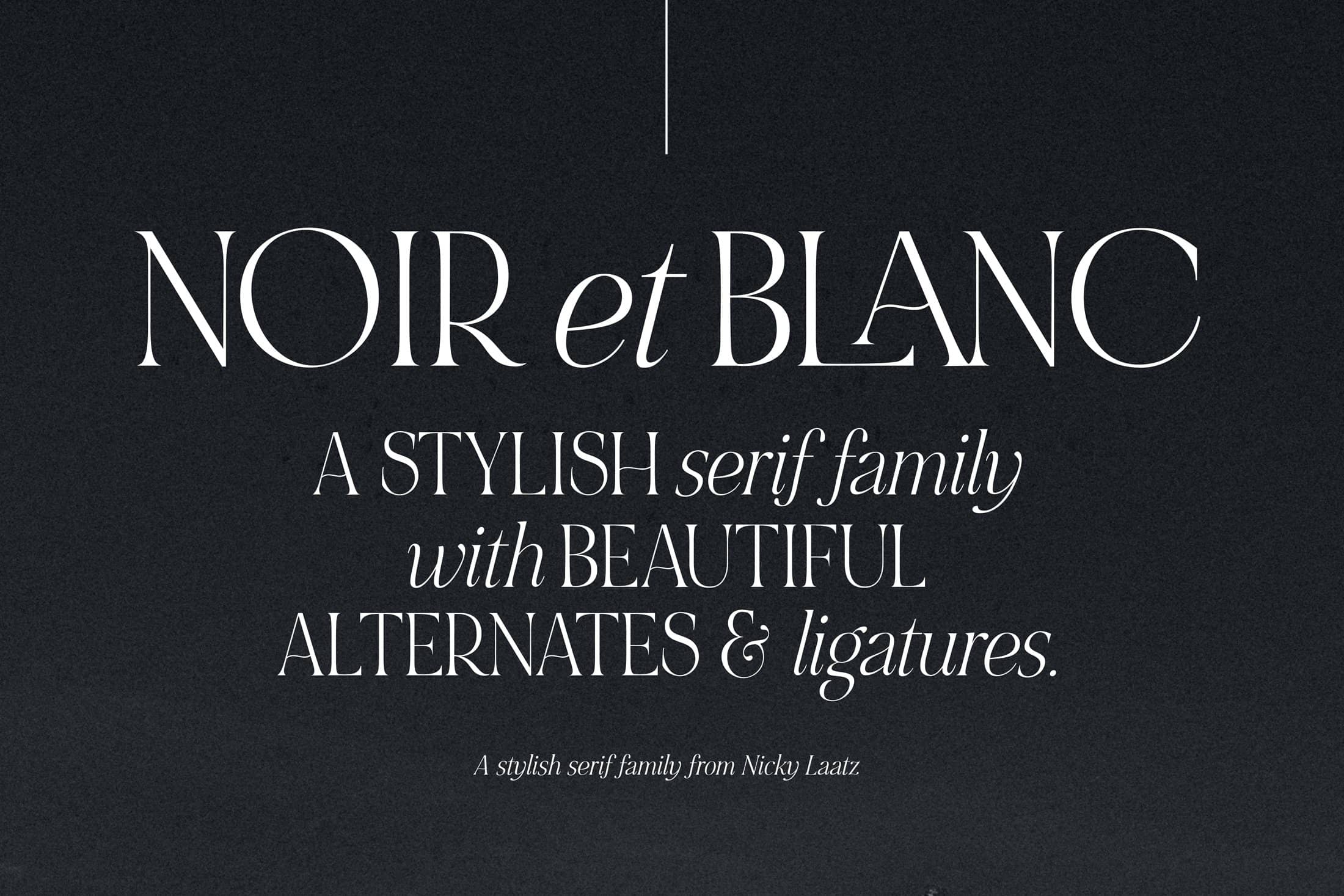 NOIR et BLANC Stylish Serif 5846906