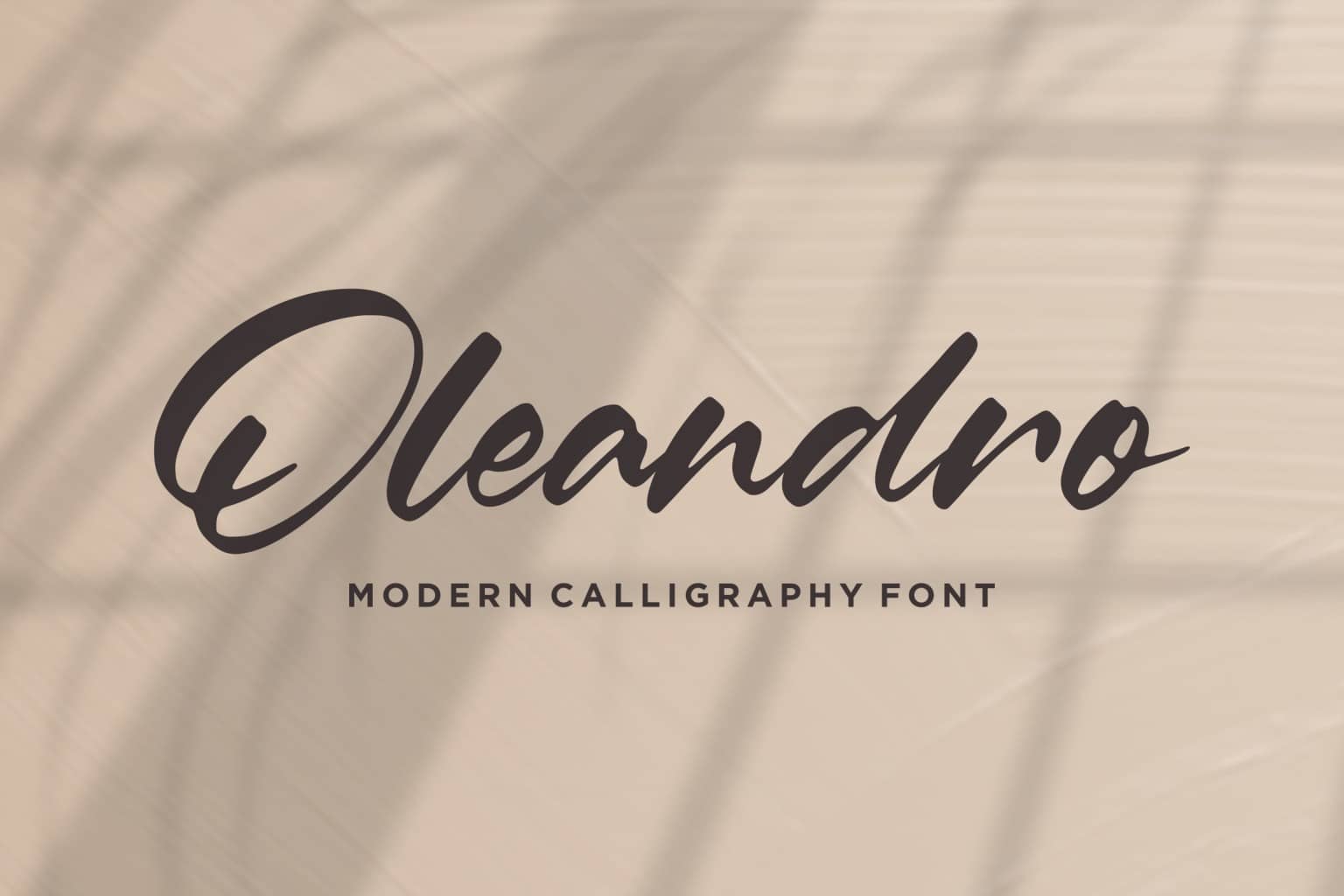 Oleandro Calligraphy 字体