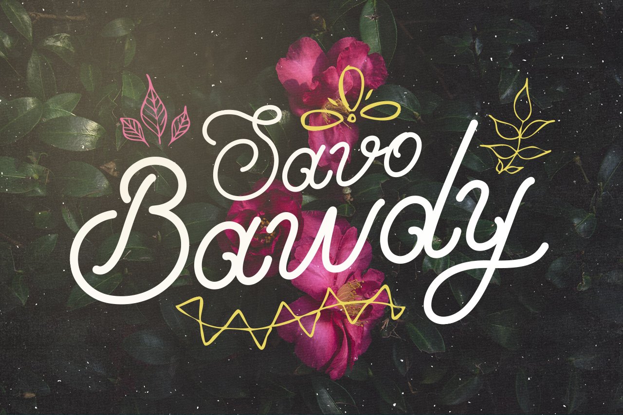 Savo Bawdy – Typeface 1619807