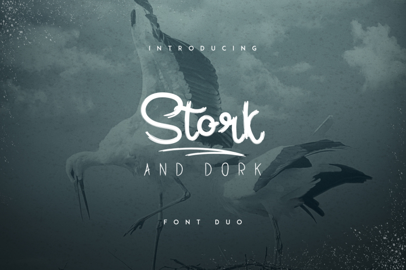 Stork and Dork 字体 duo 1638067