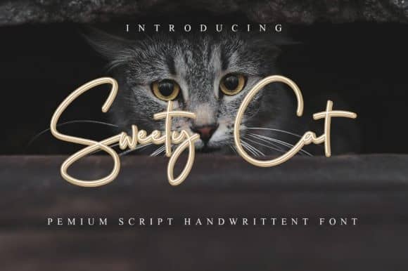 Sweety Cat 字体