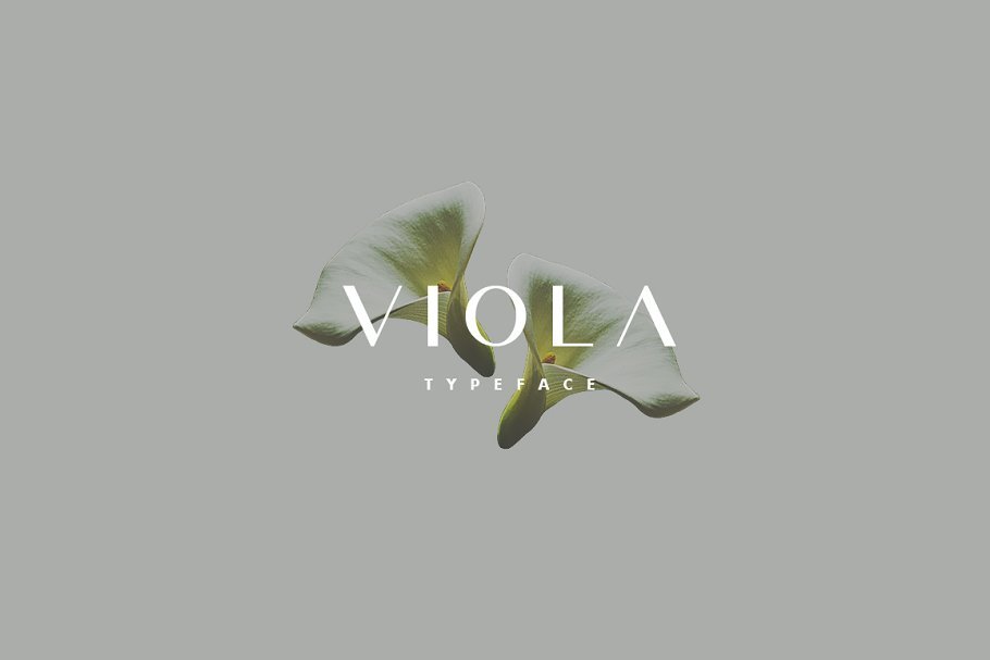 Viola Typeface