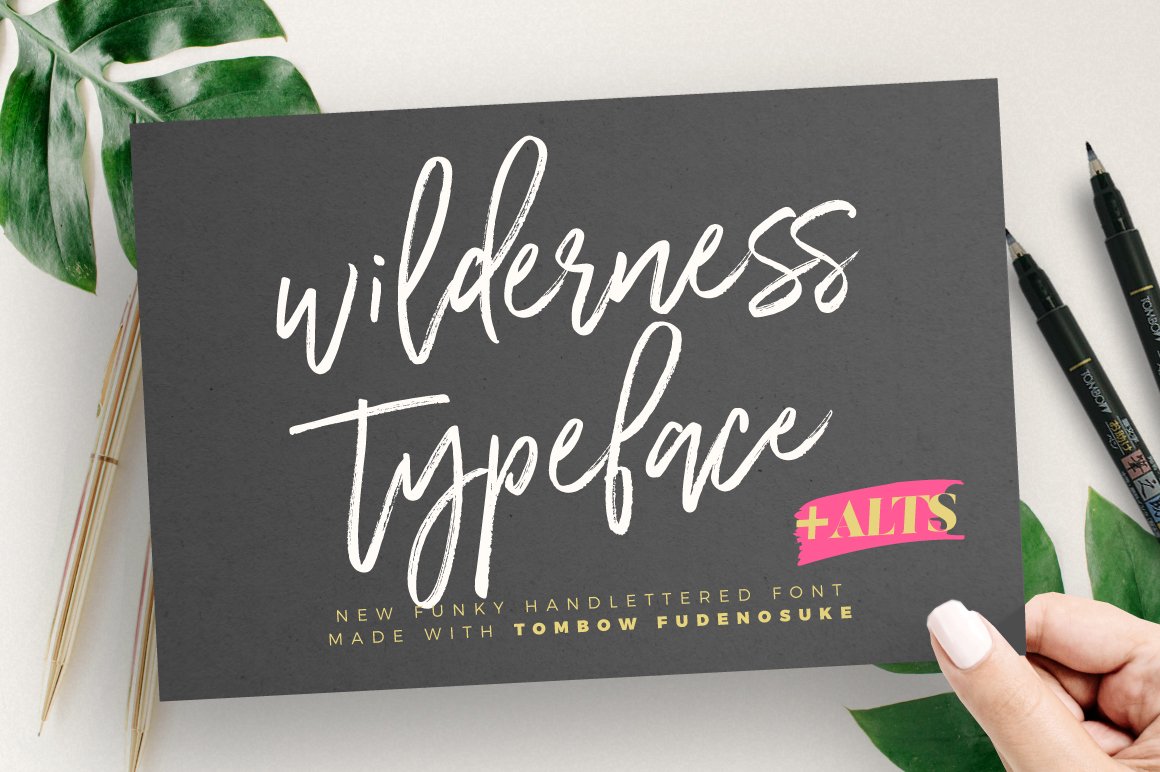 Wilderness Typeface 1355755
