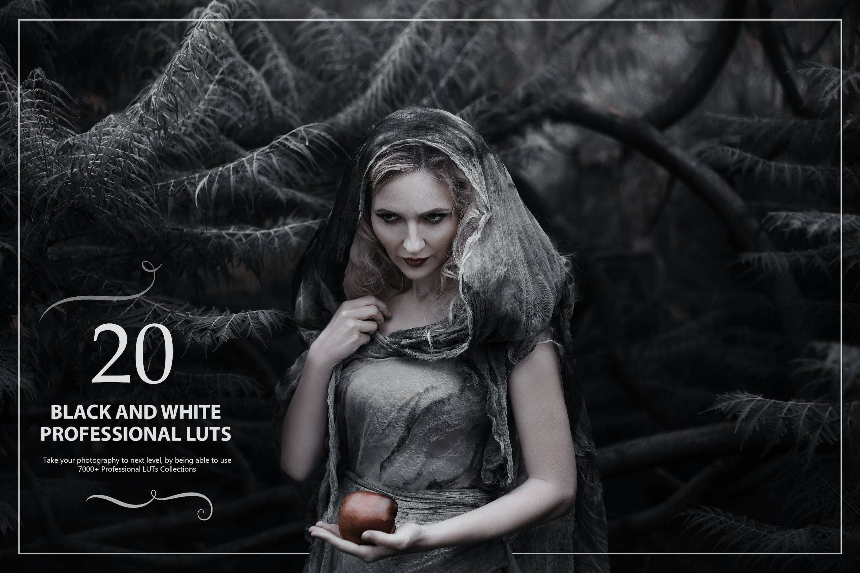 20款 黑白风格摄影预设 LUTs (Look Up Tables)