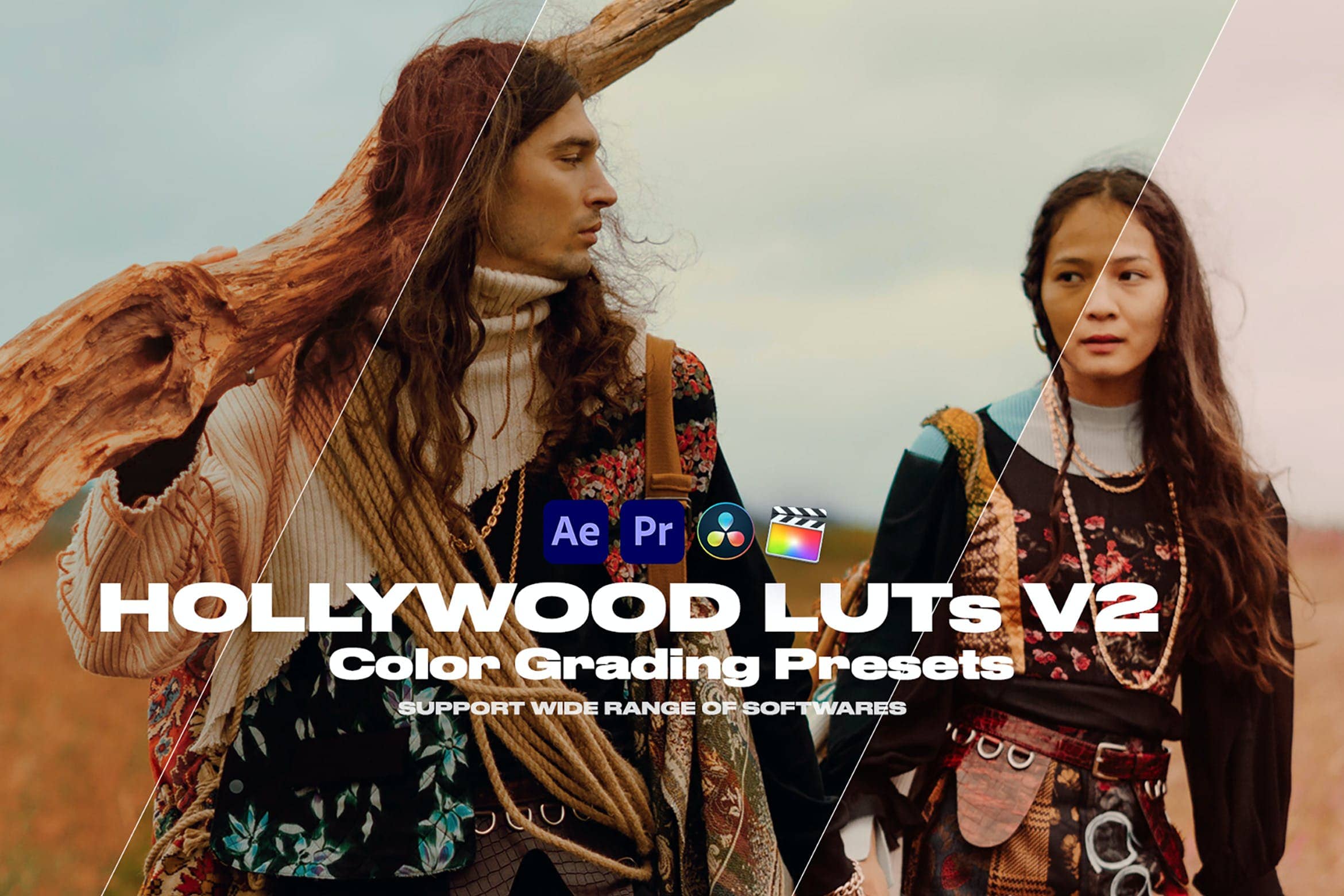 好莱坞调色预设Looks