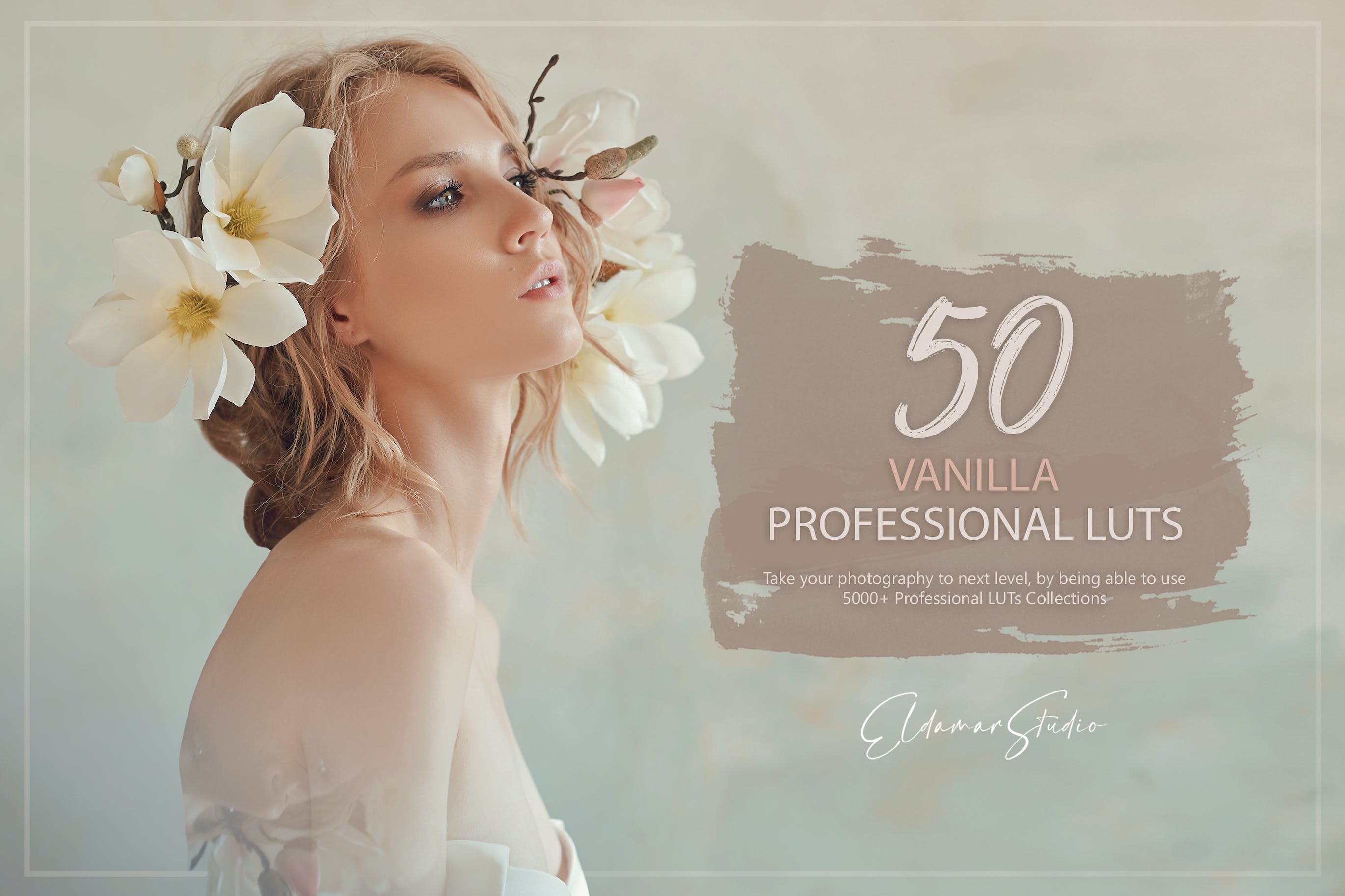 50款 电影胶片调色预设 LUTs and Presets Pack