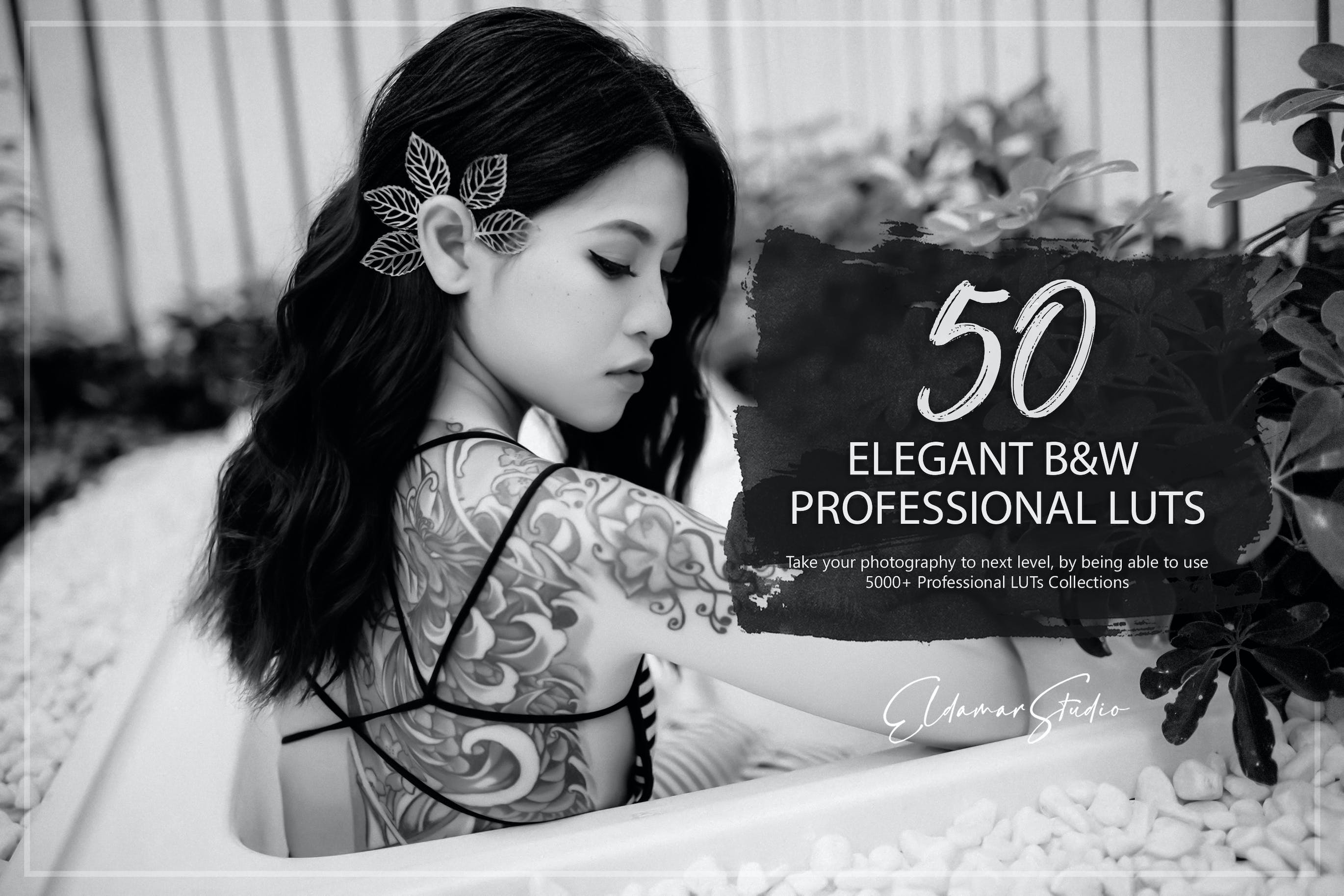 50 个优雅的黑白 LUT 包 50 Elegant B&W LUTs Pack