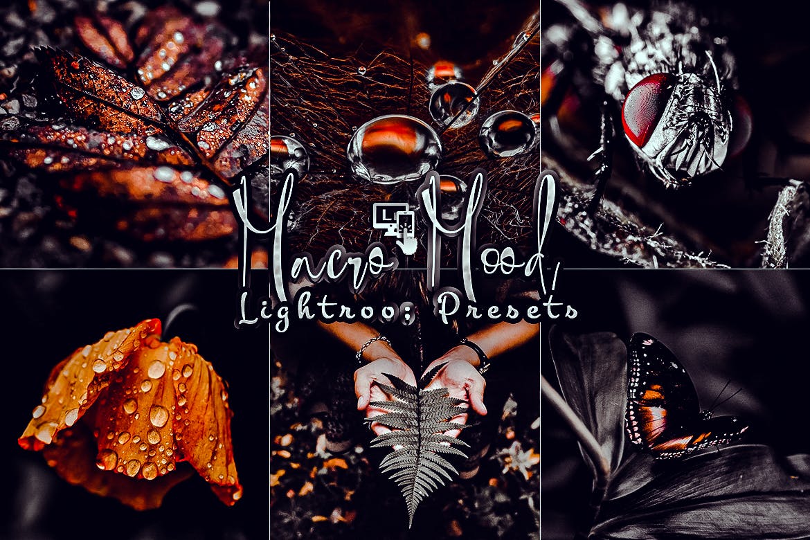 宏观情绪 Lightroom 预设移动和 PC Lightroom Presets Mobile and PC