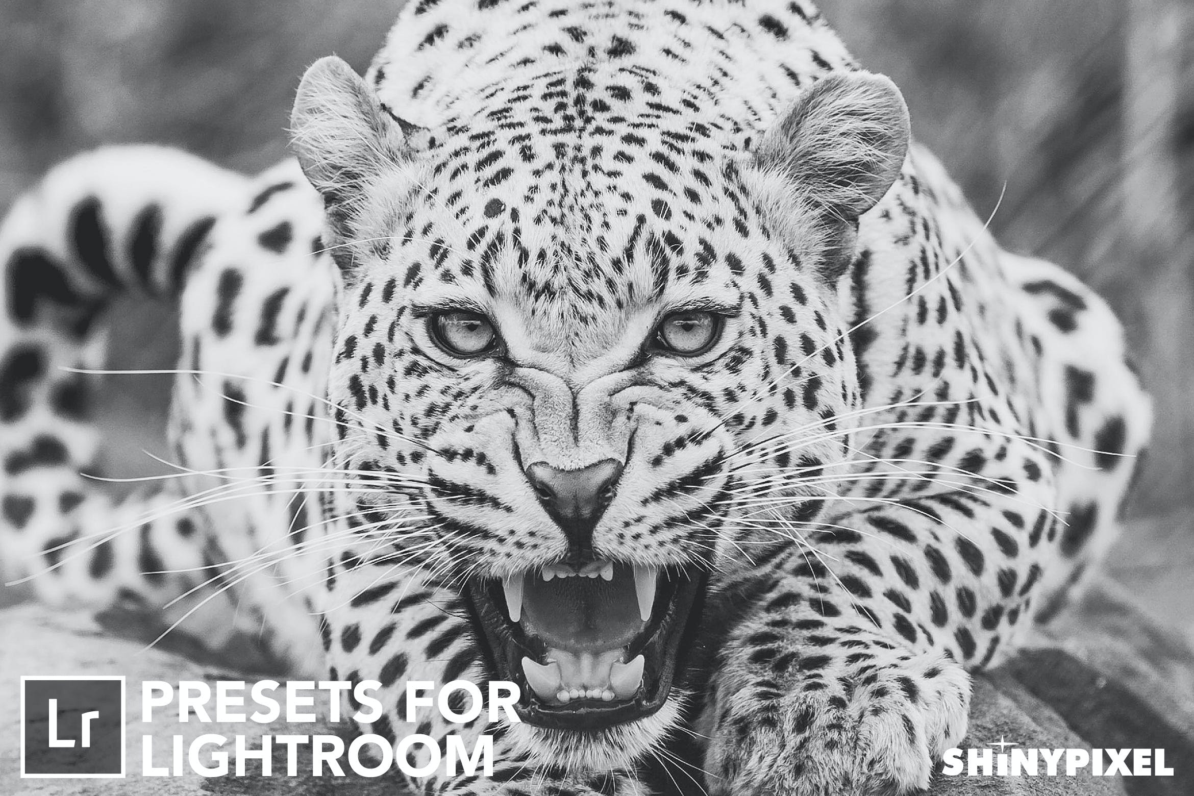 高级黑白色调预设 Vol. 1   20 Lightroom Presets