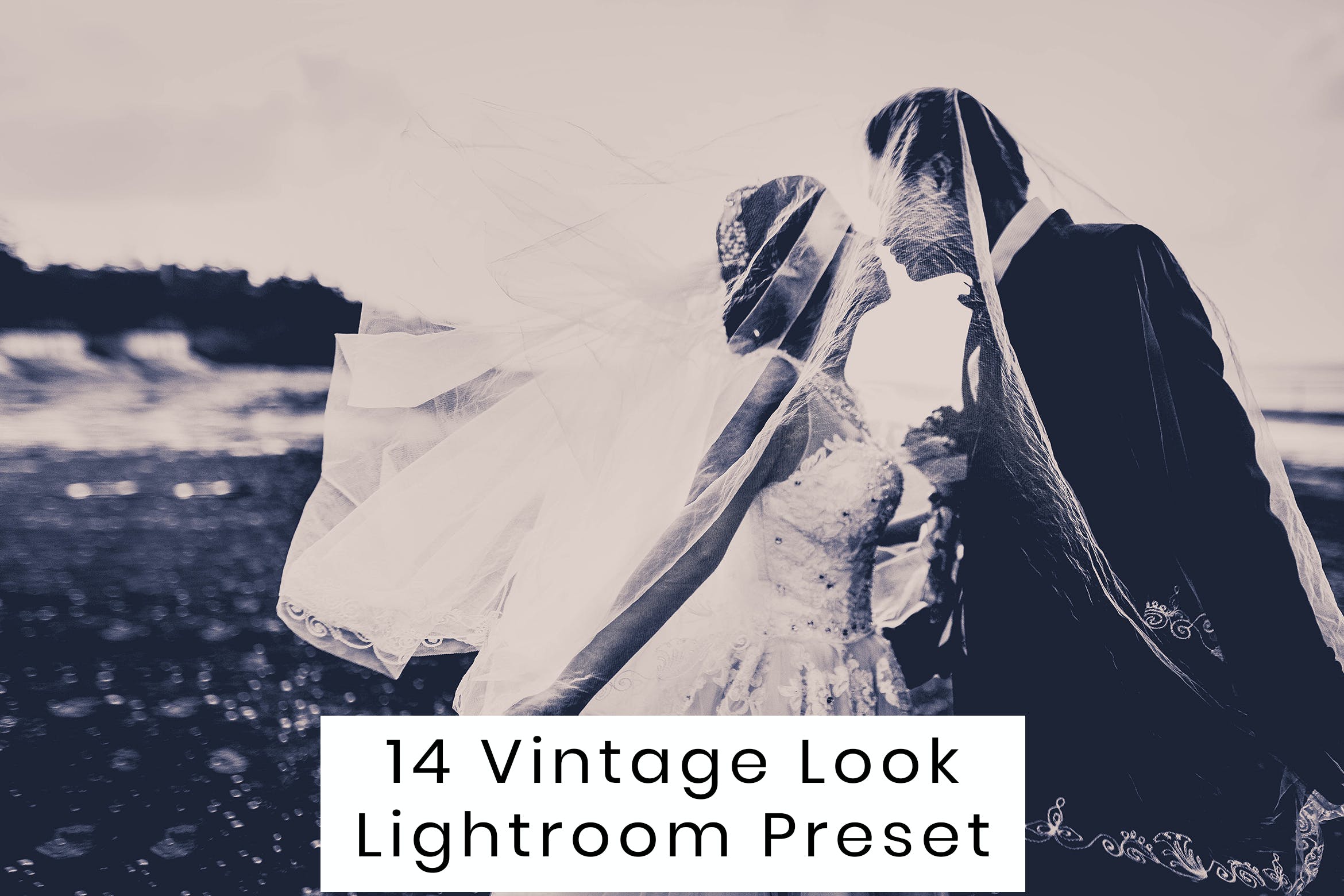 14 种复古外观预设 Lightroom Preset