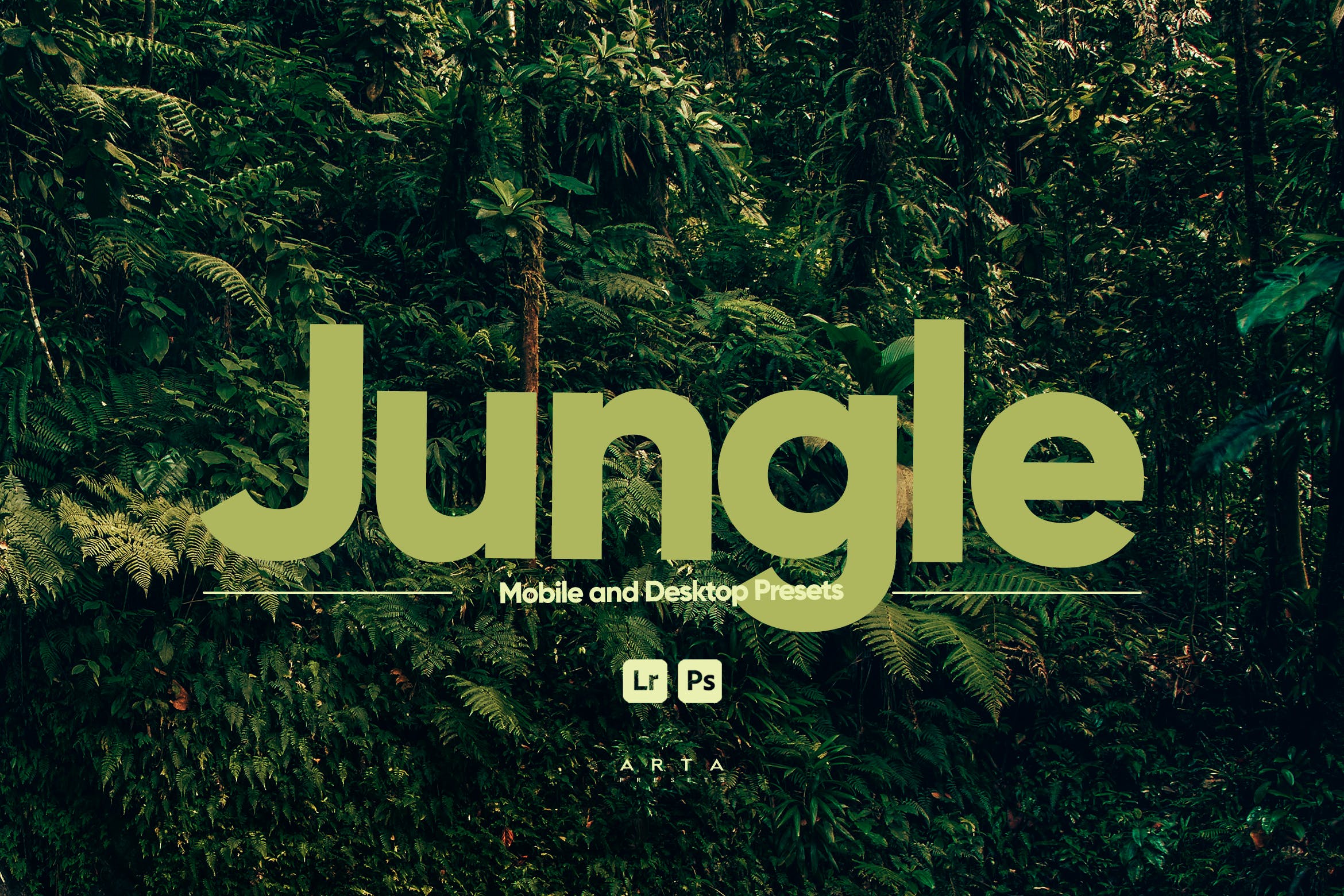 ARTA – Lightroom 的丛林预设