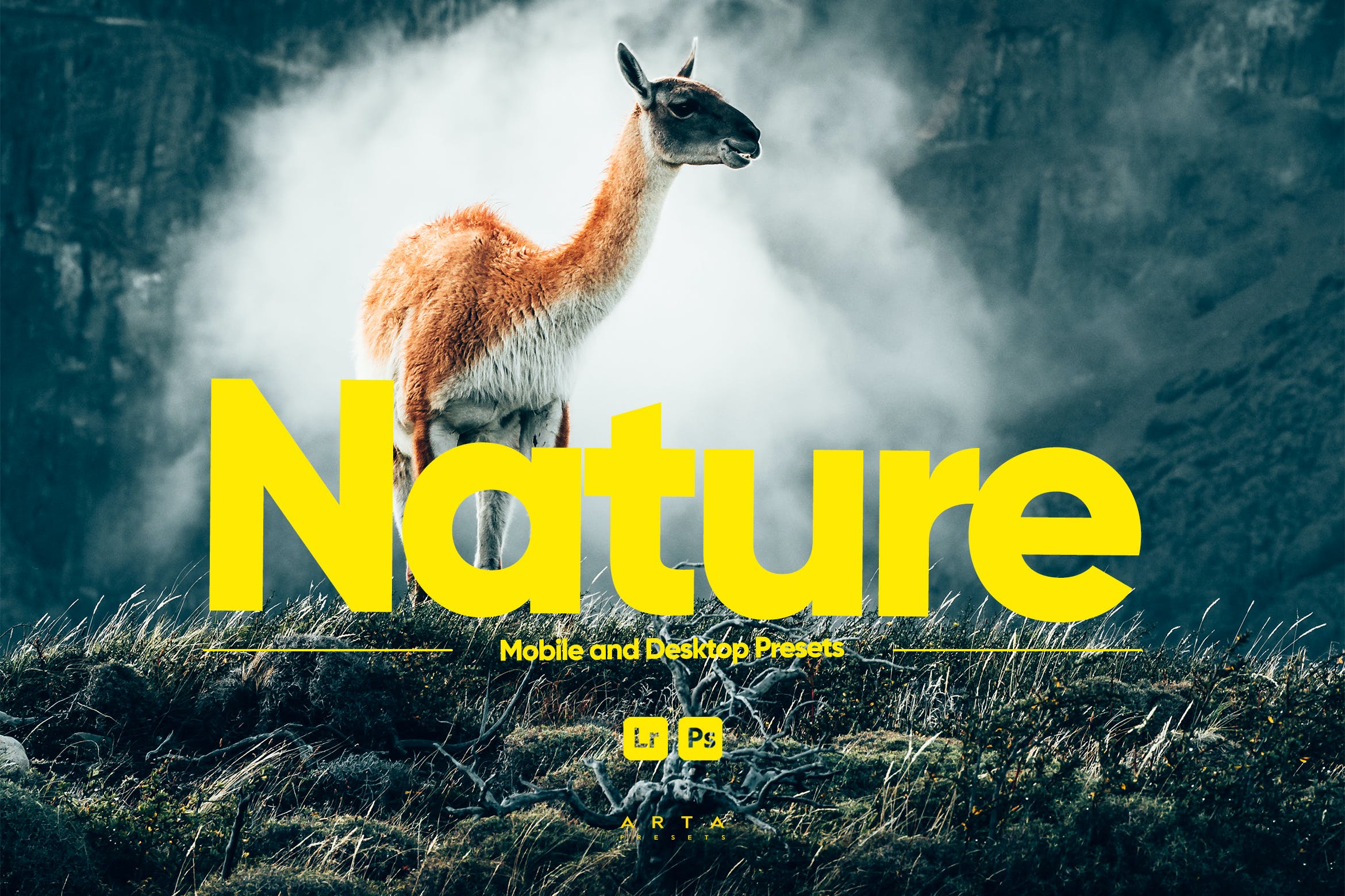 ARTA – Lightroom 的自然预设