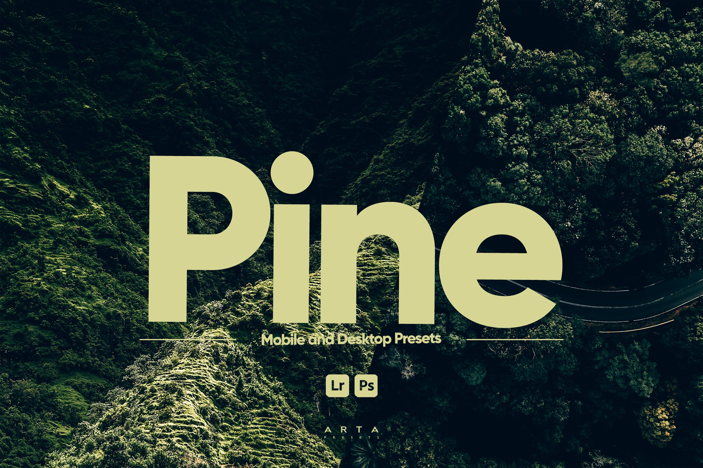 ARTA – Lightroom 的 松树摄影预设