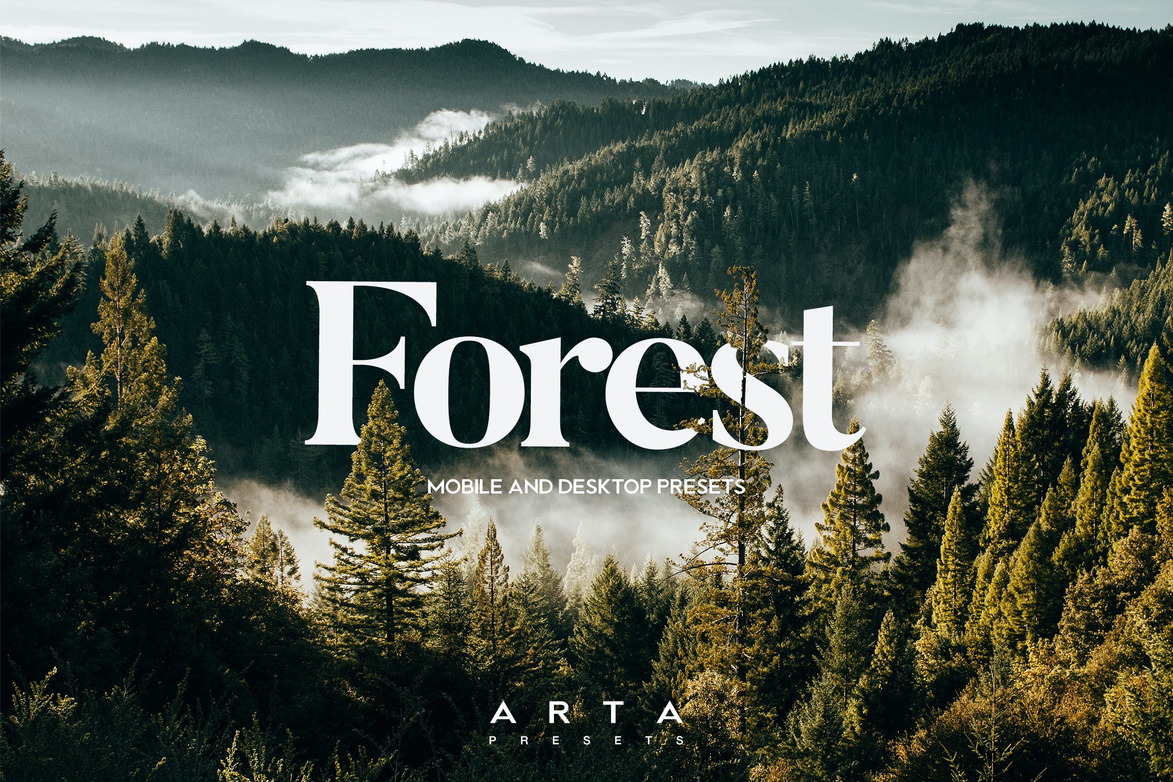 用于移动和桌面的 ARTA 森林预设