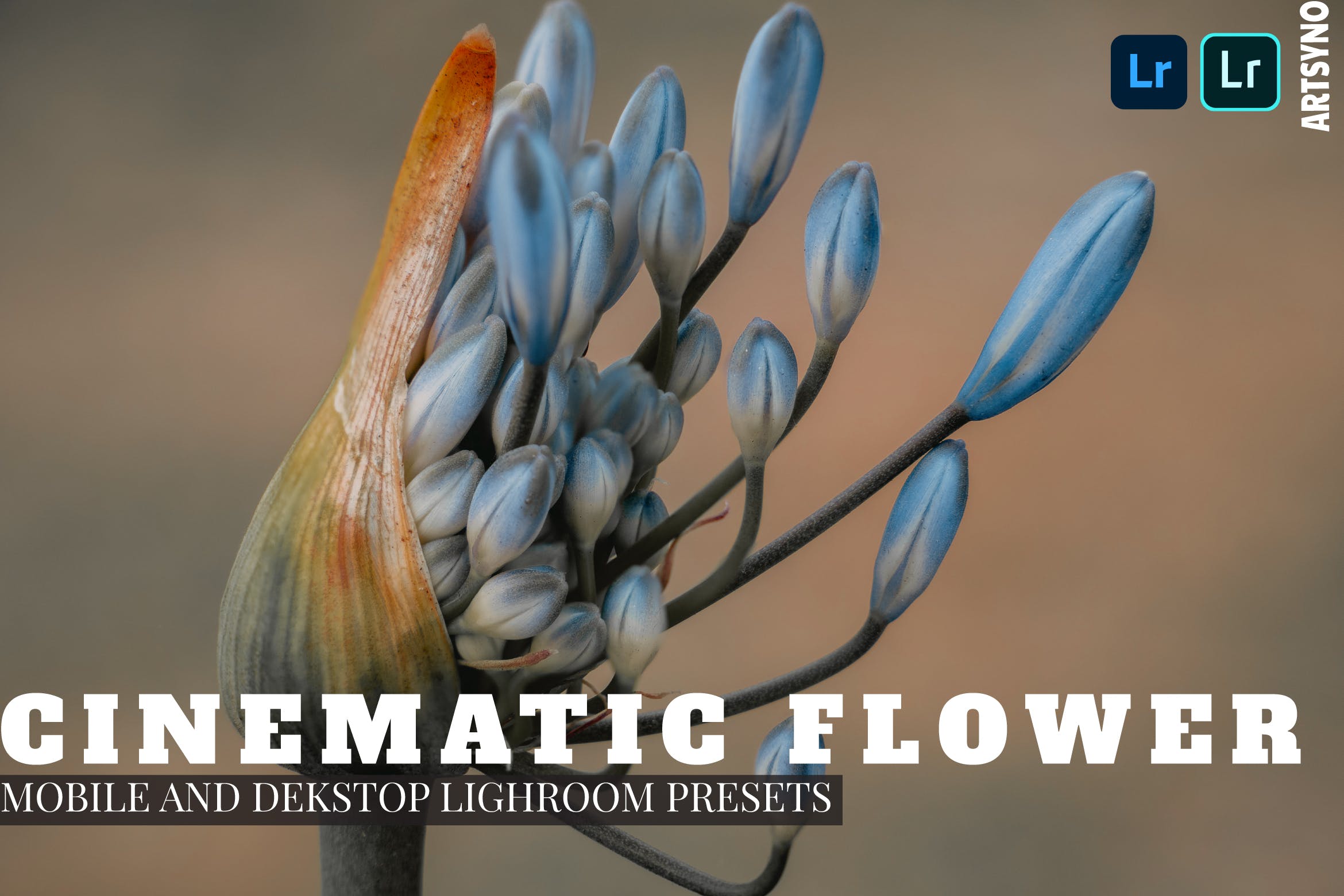 电影花卉 Lightroom 预设 Lightroom Presets Dekstop Mobile