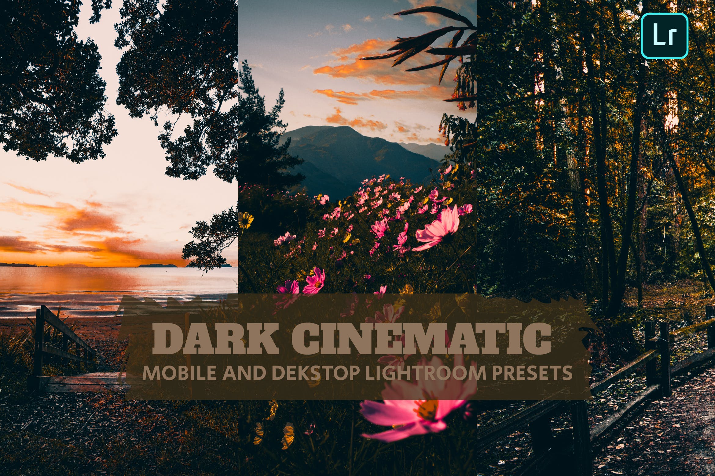 黑暗电影 Lightroom 预设 Presets Dekstop Mobile