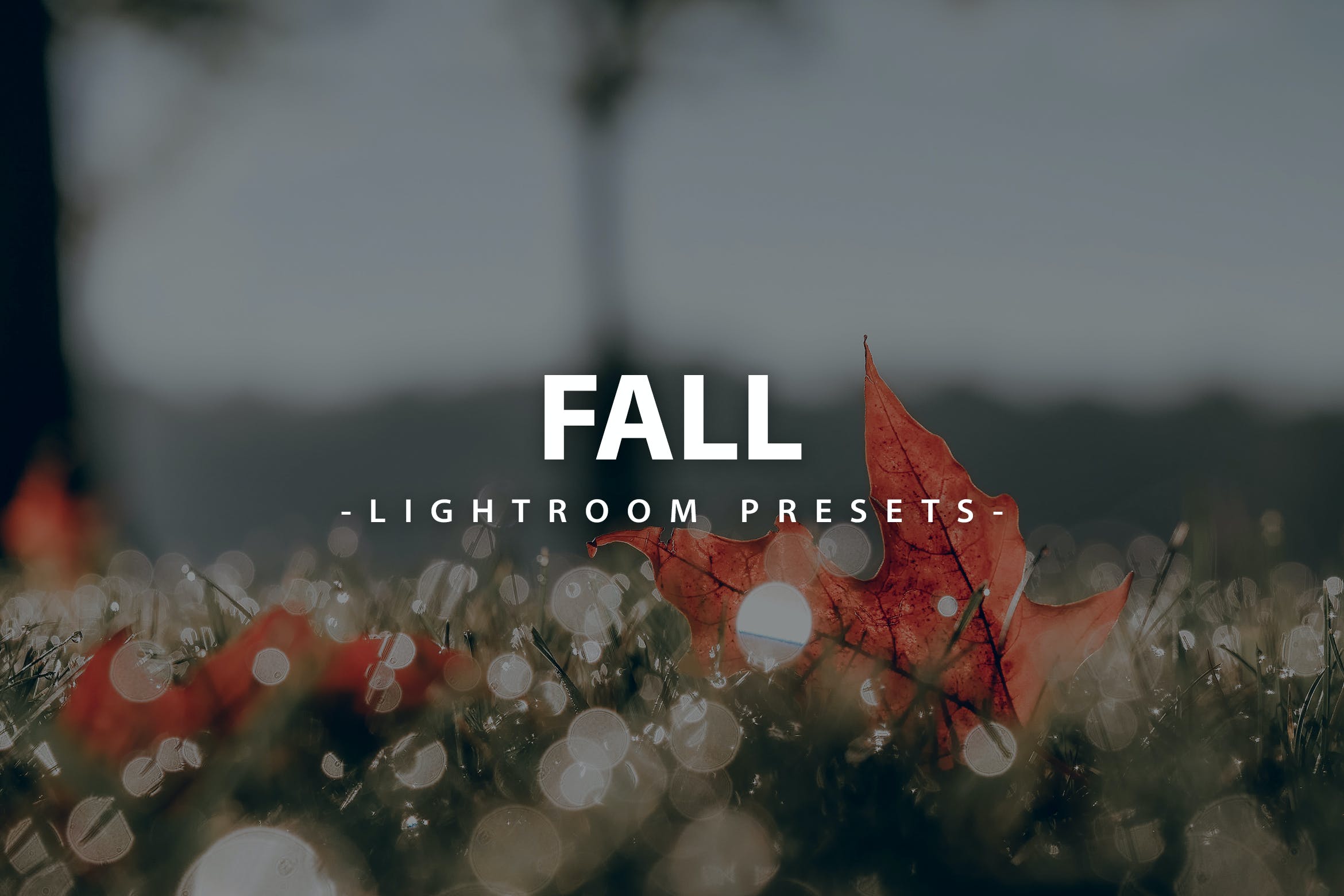 秋季风景摄影 Lightroom 预设包 Preset Pack  Mobile and Desktop