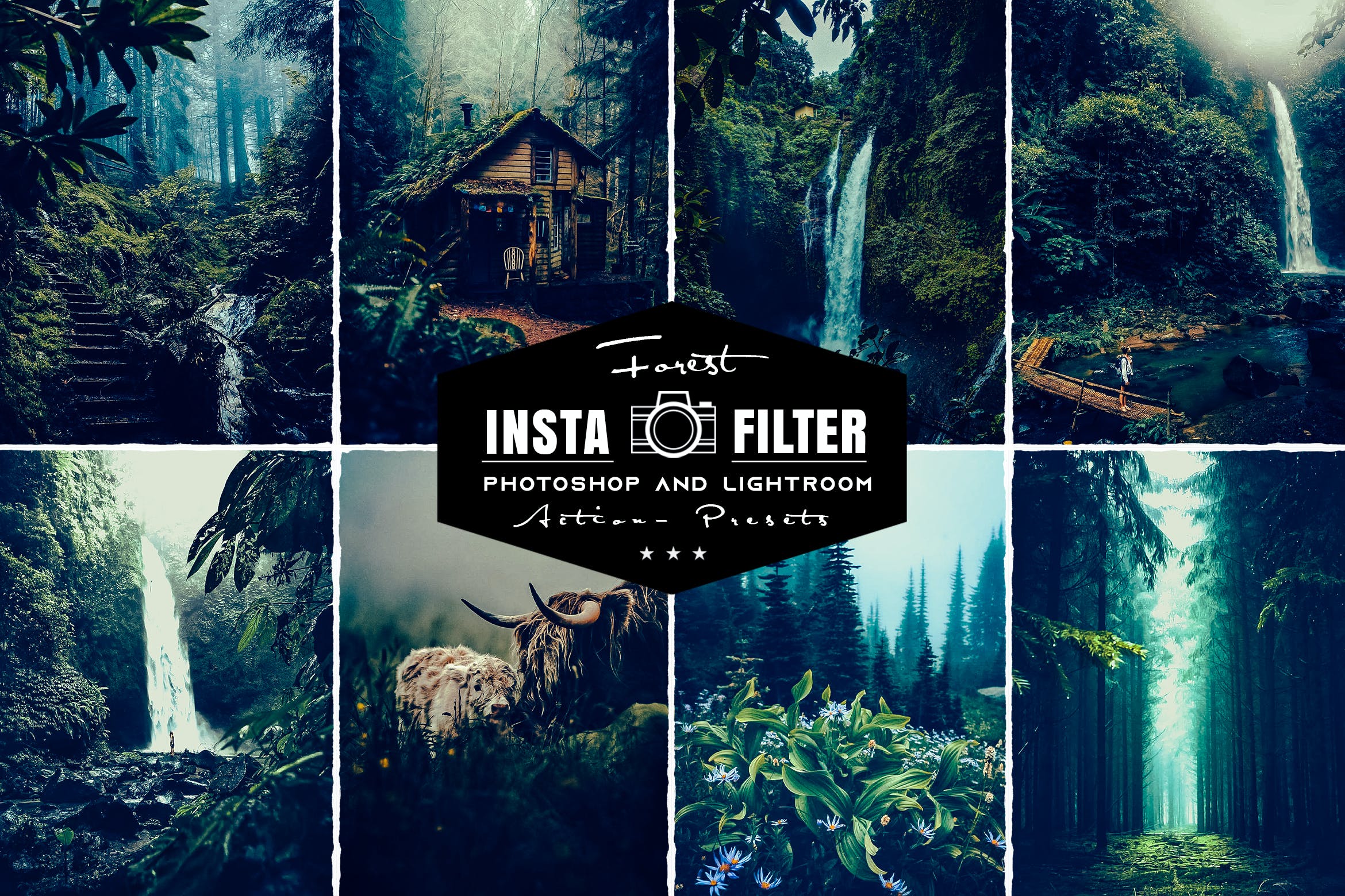 森林图片摄影预设 Lightroom Presets