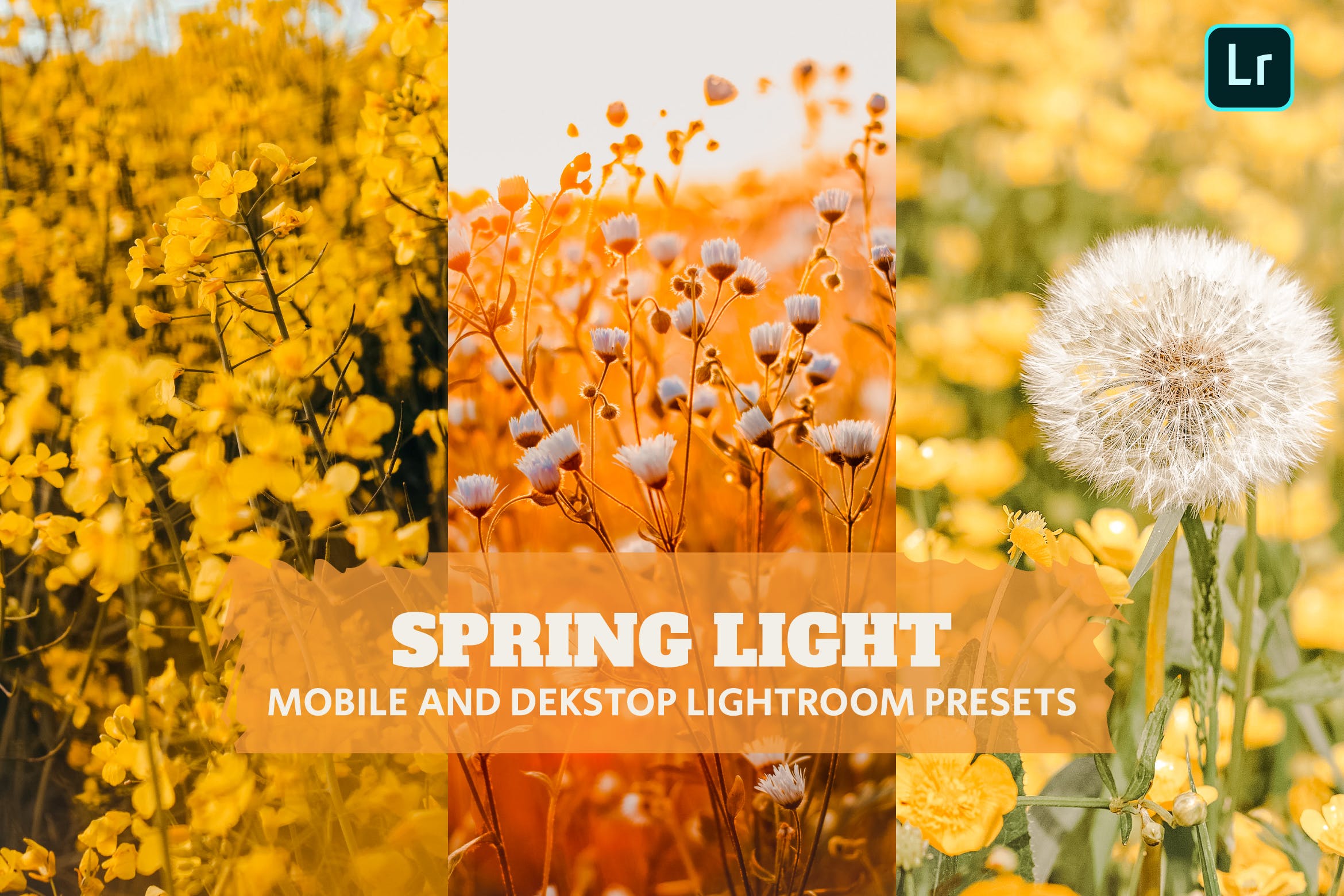 春日风光摄影预设 Lightroom Presets Dekstop and Mobile