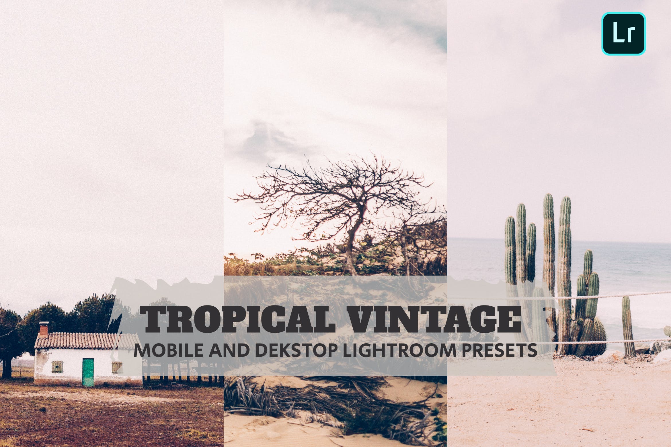 热带复古 Lightroom 预设 Lightroom Presets Dekstop Mobile