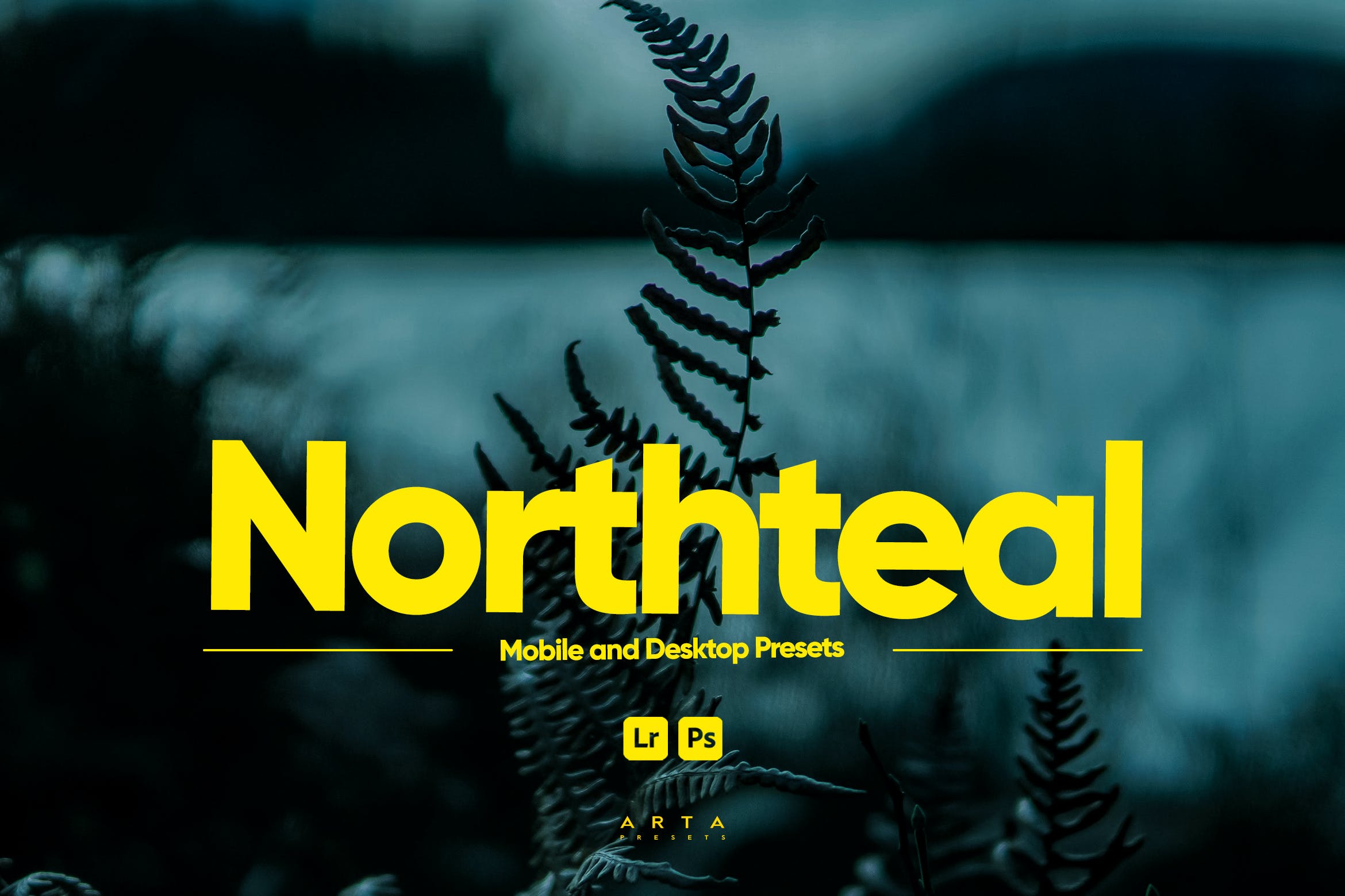ARTA – Lightroom 的北蒂尔预设