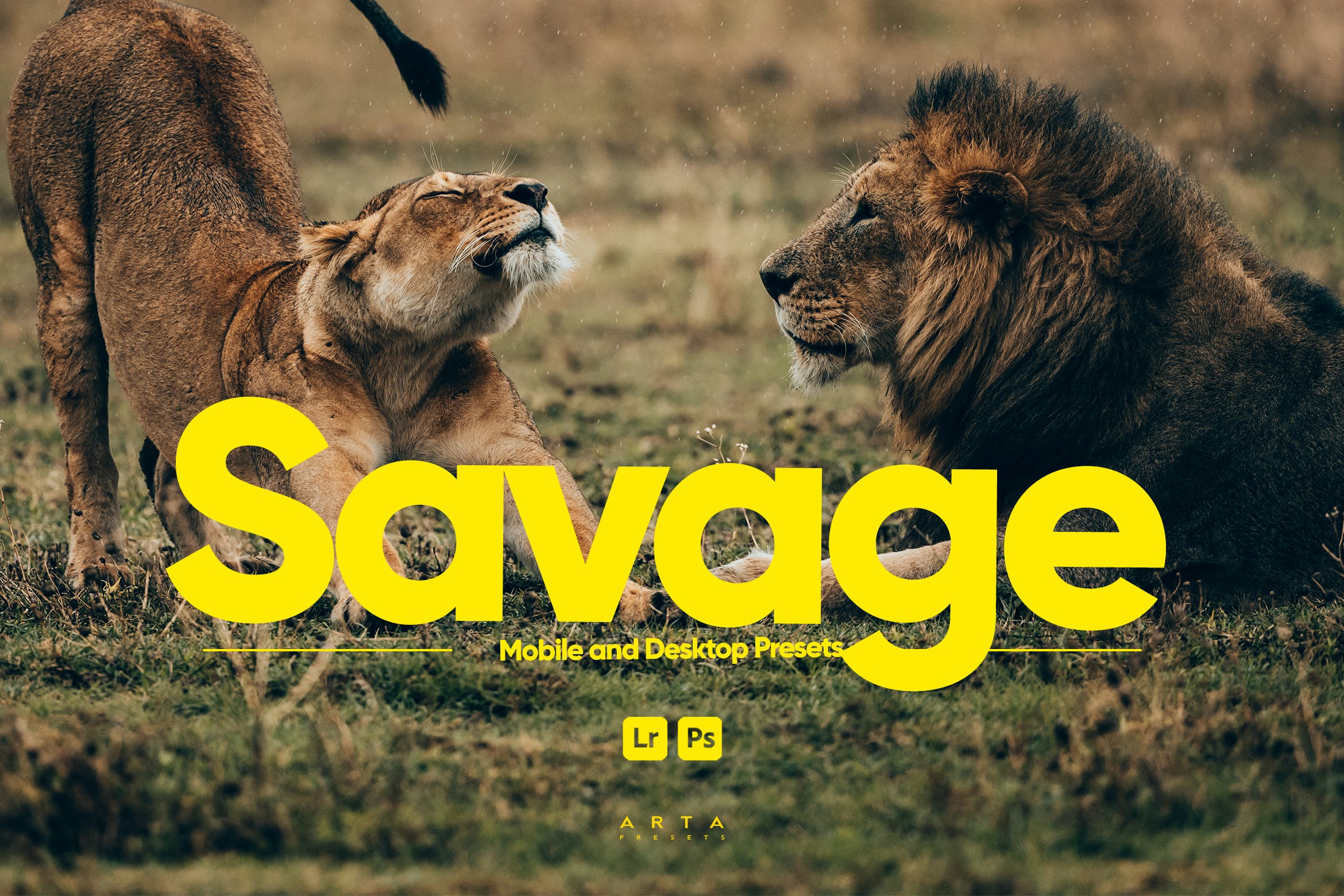 ARTA – Lightroom 的野兽预设