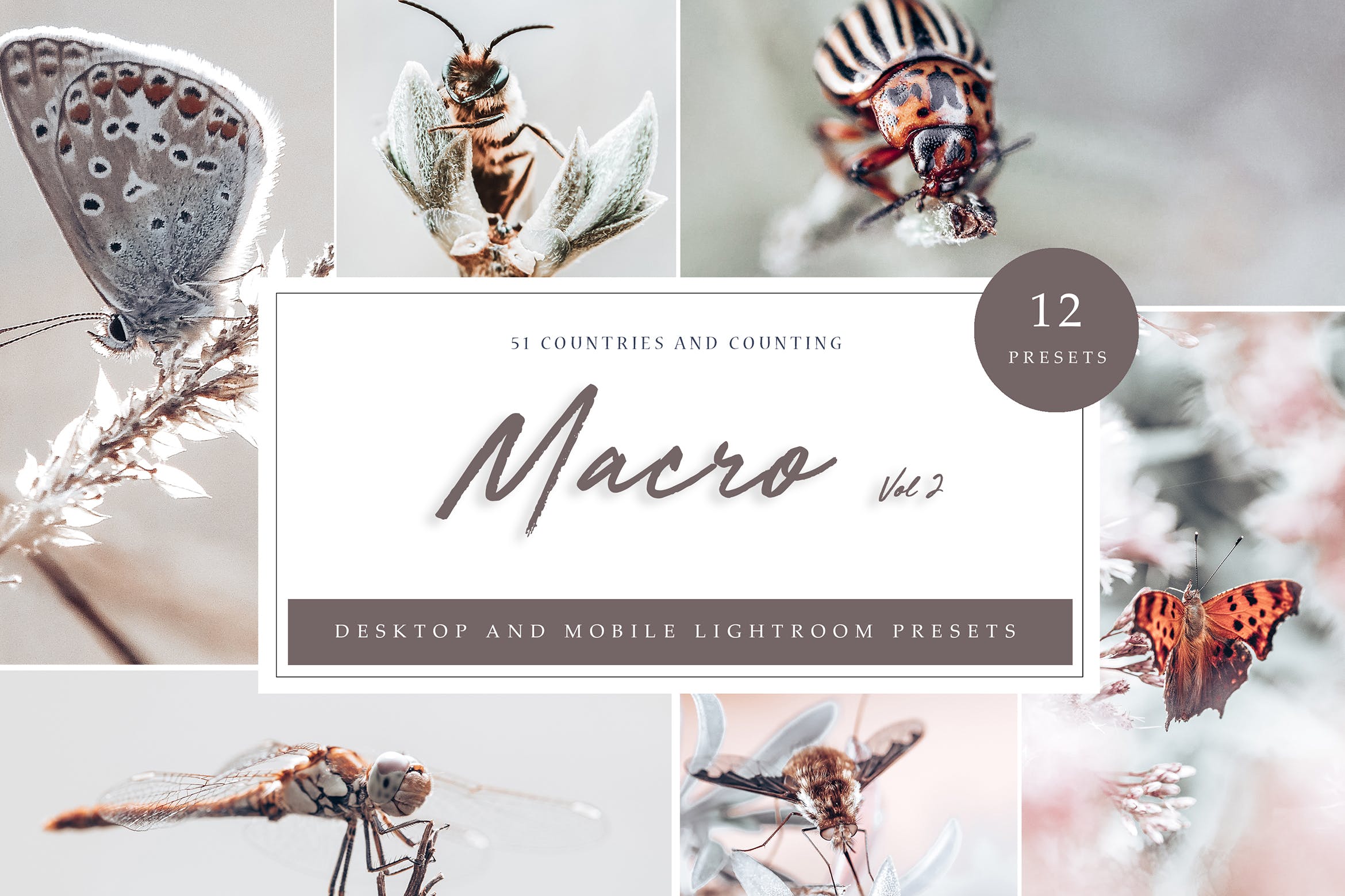 微距 Vol. 2预设 Lightroom Presets