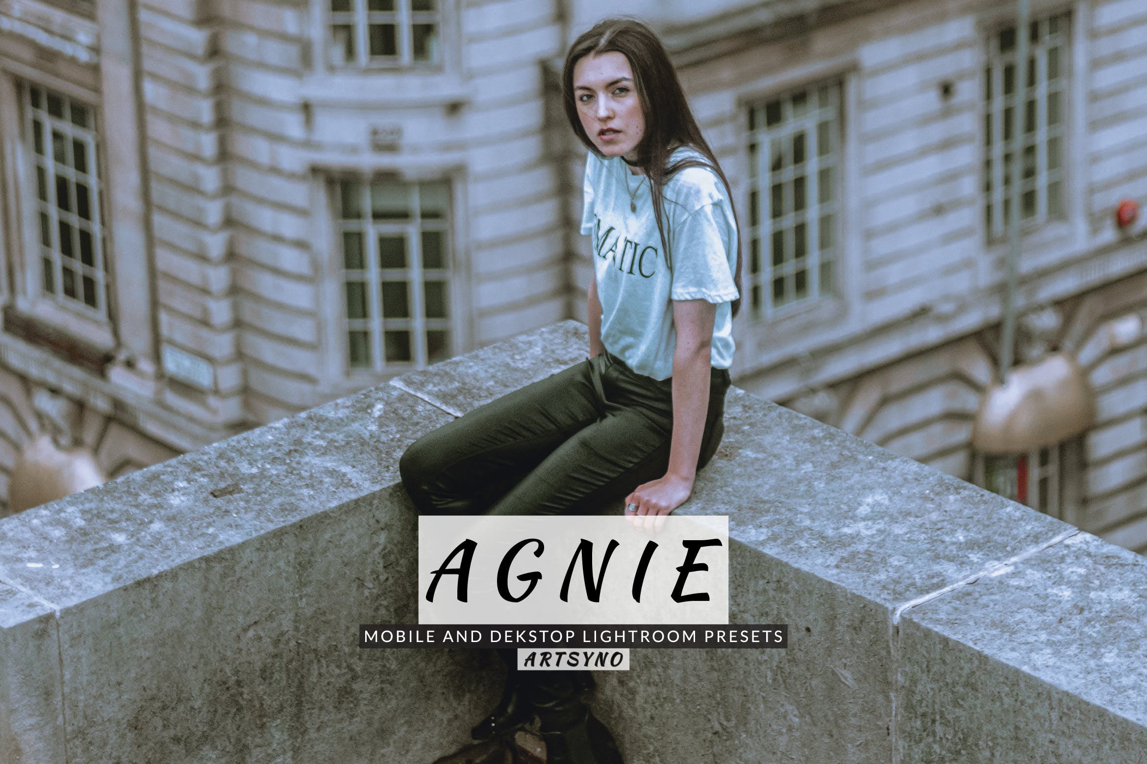 阿格尼调色预设 Agnie Lightroom Presets Dekstop and Mobile