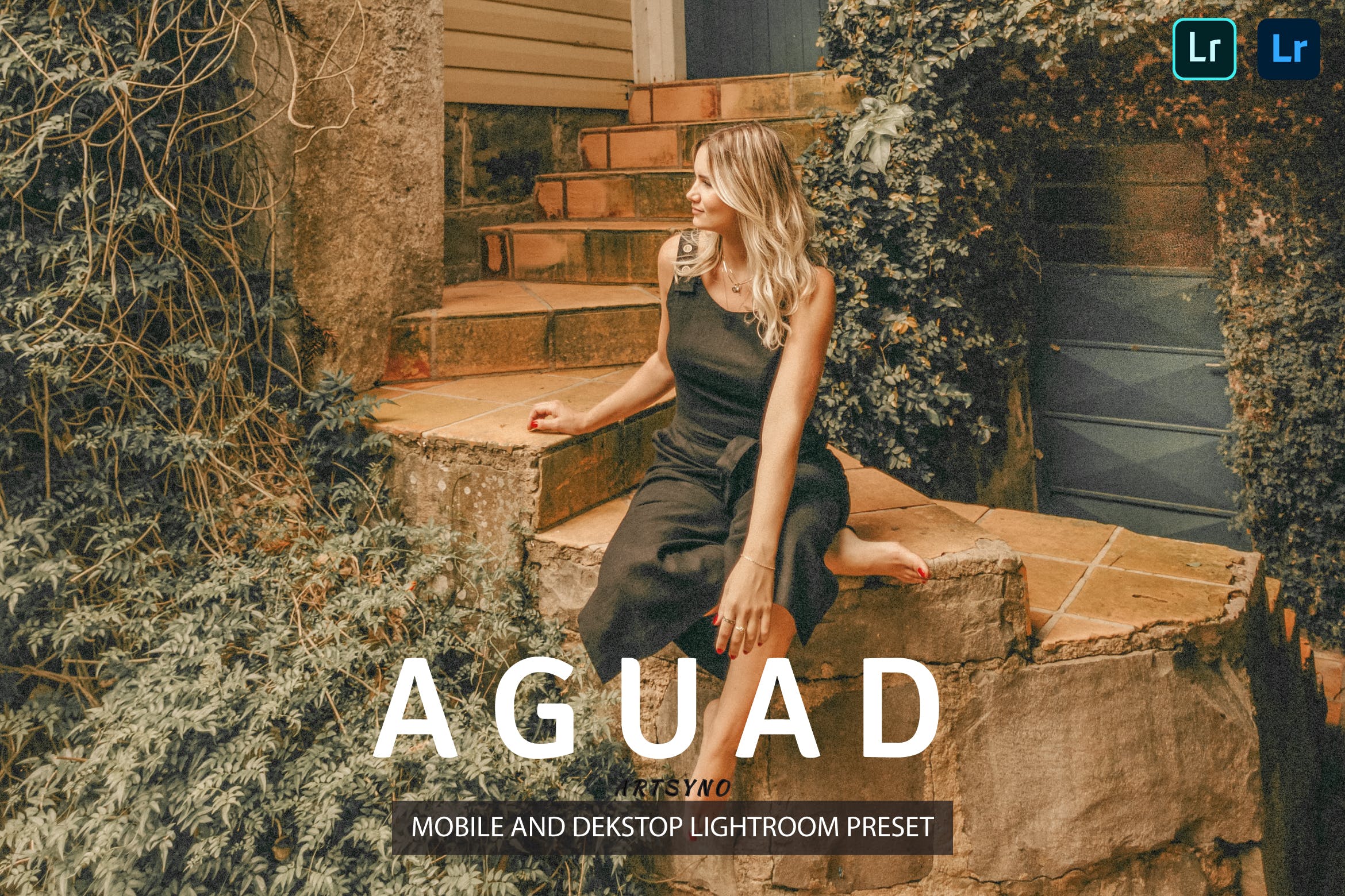 电影调色预设 Aguad Lightroom Presets Dekstop and Mobile