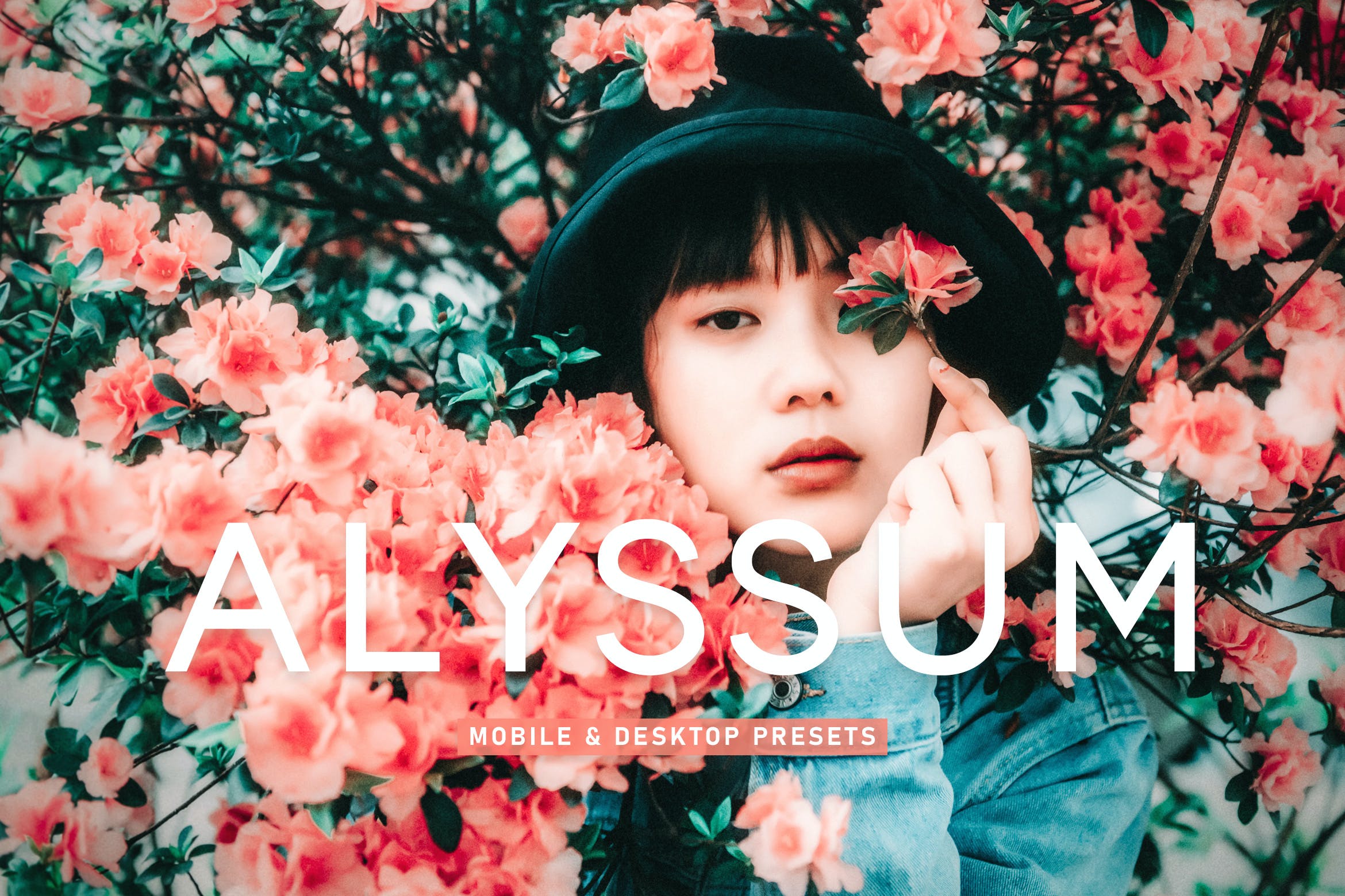 阿丽苏姆调色预设 Alyssum Mobile & Desktop Lightroom Presets