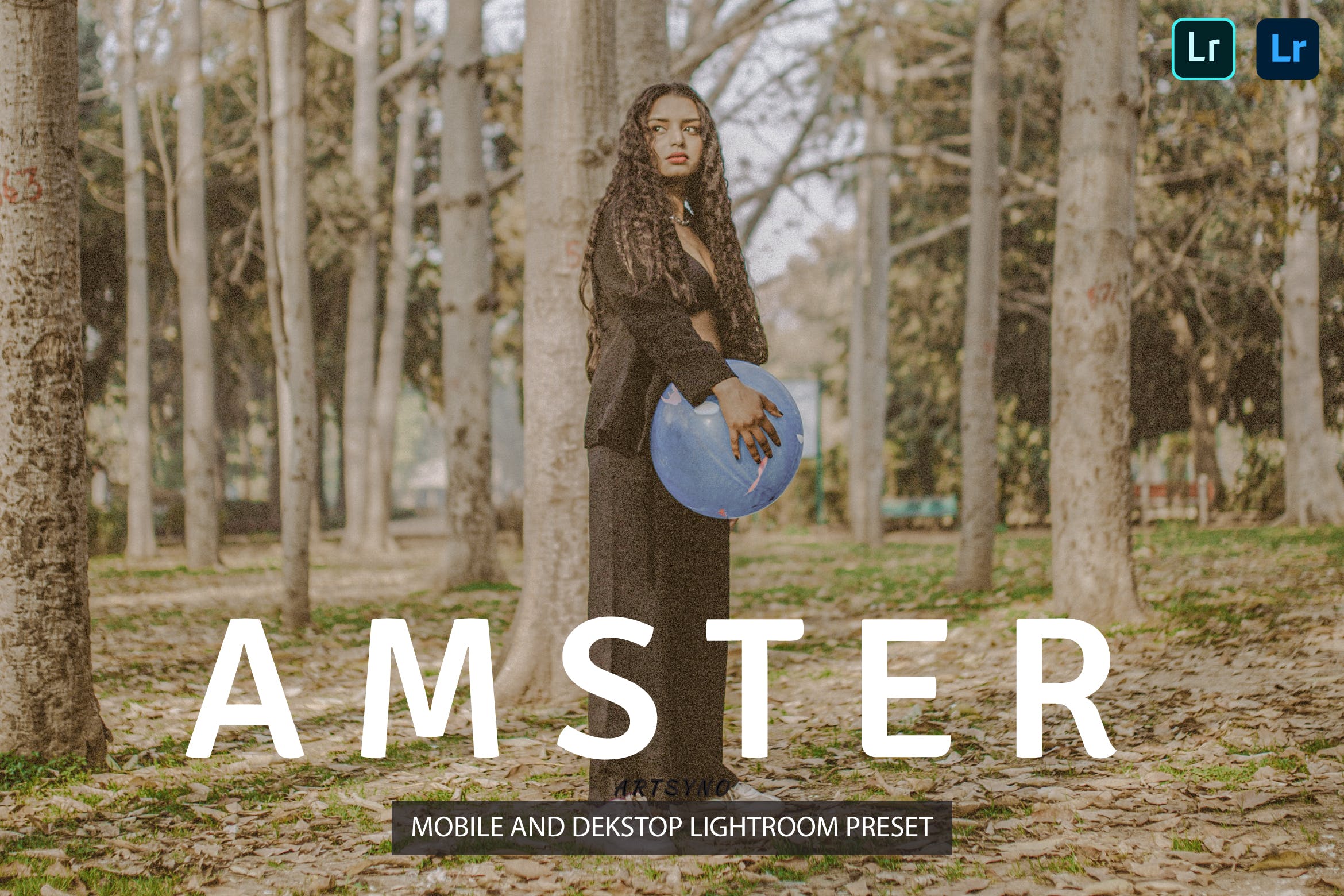 阿姆斯特丹调色预设 Amster Lightroom Presets Dekstop and Mobile