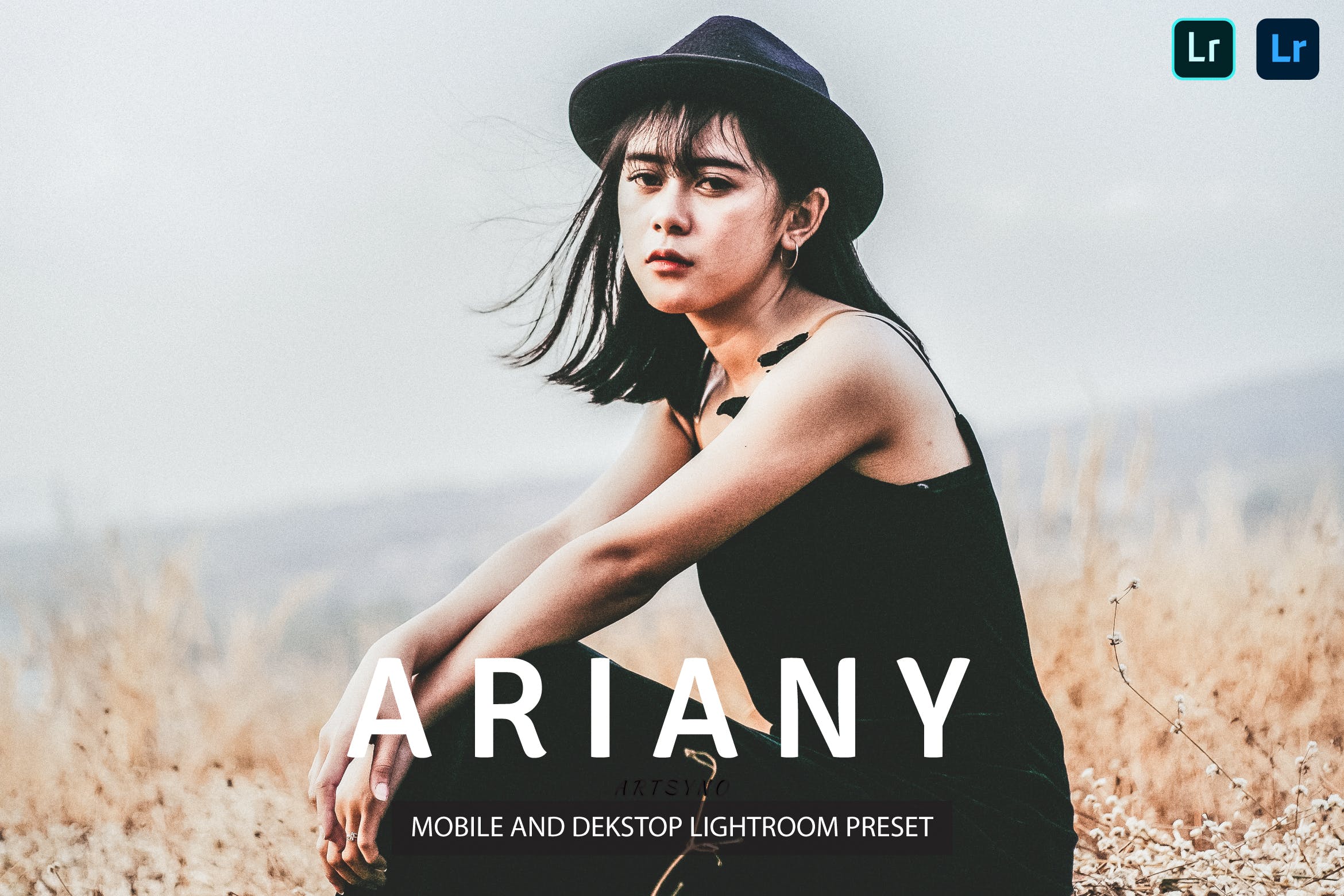 阿里亚尼调色预设 Ariany Lightroom Presets Dekstop and Mobile