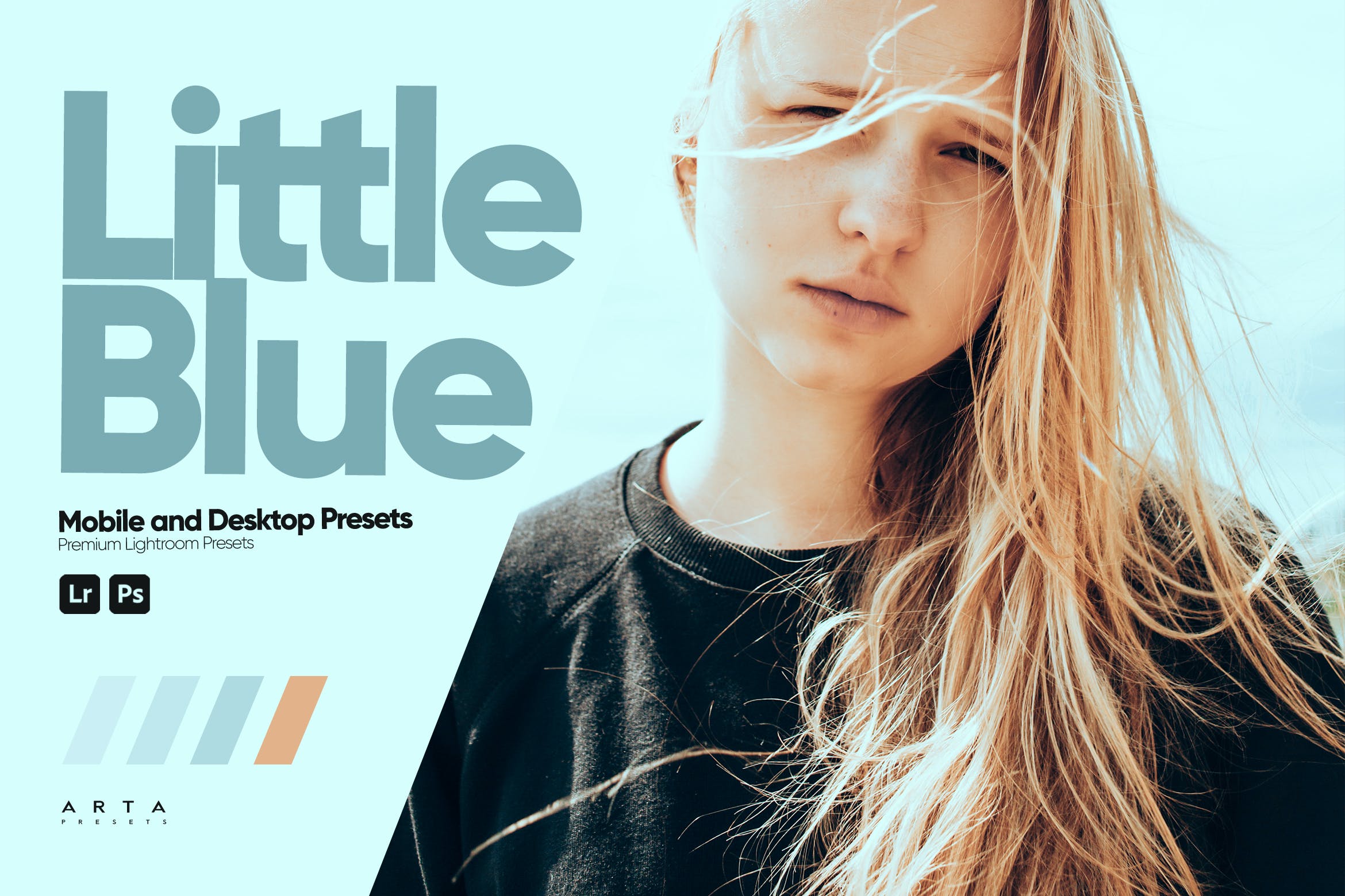 小蓝调色预设 ARTA   Little Blue Presets for Lightroom