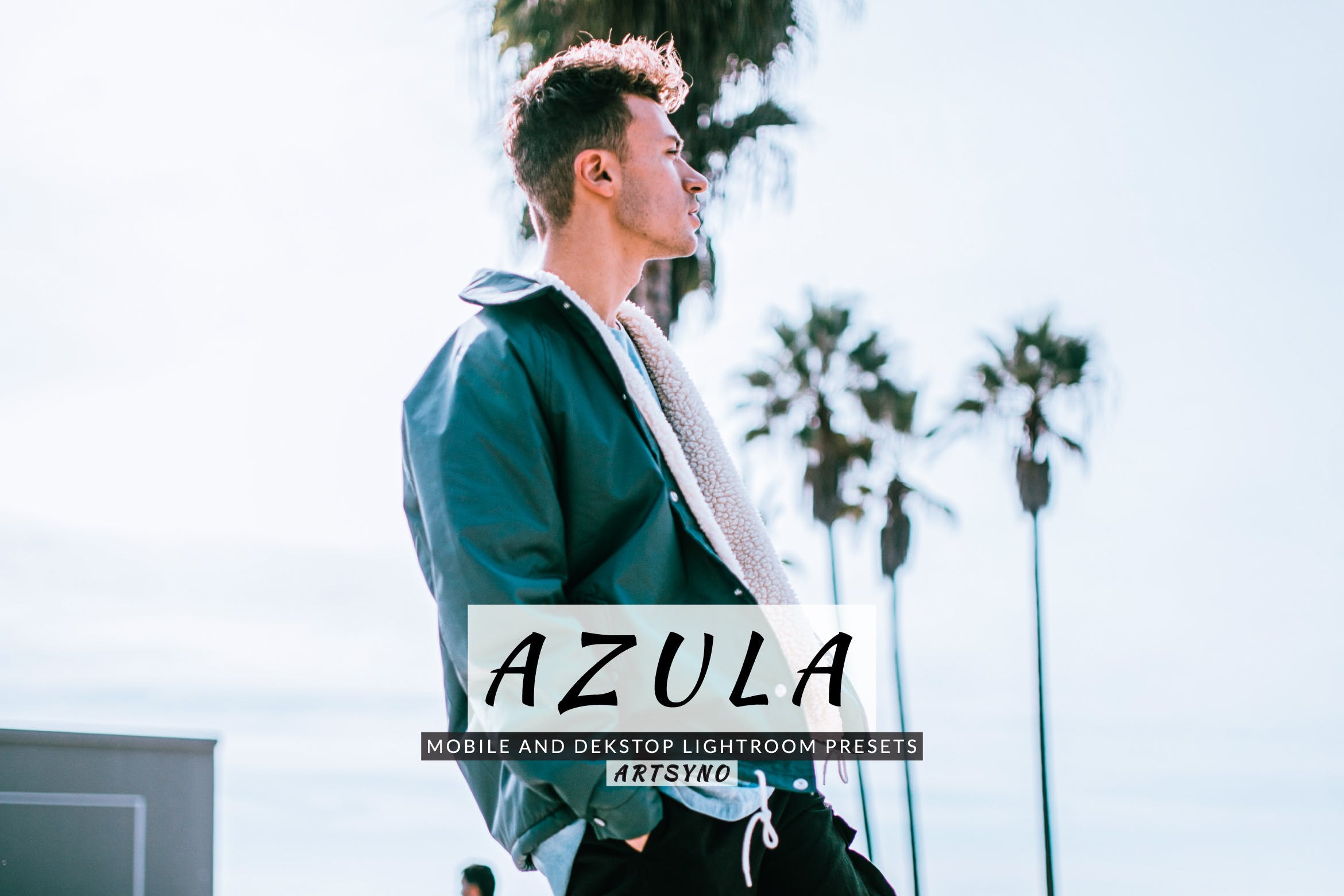 阿祖拉调色预设 Azula Lightroom Presets Dekstop and Mobile